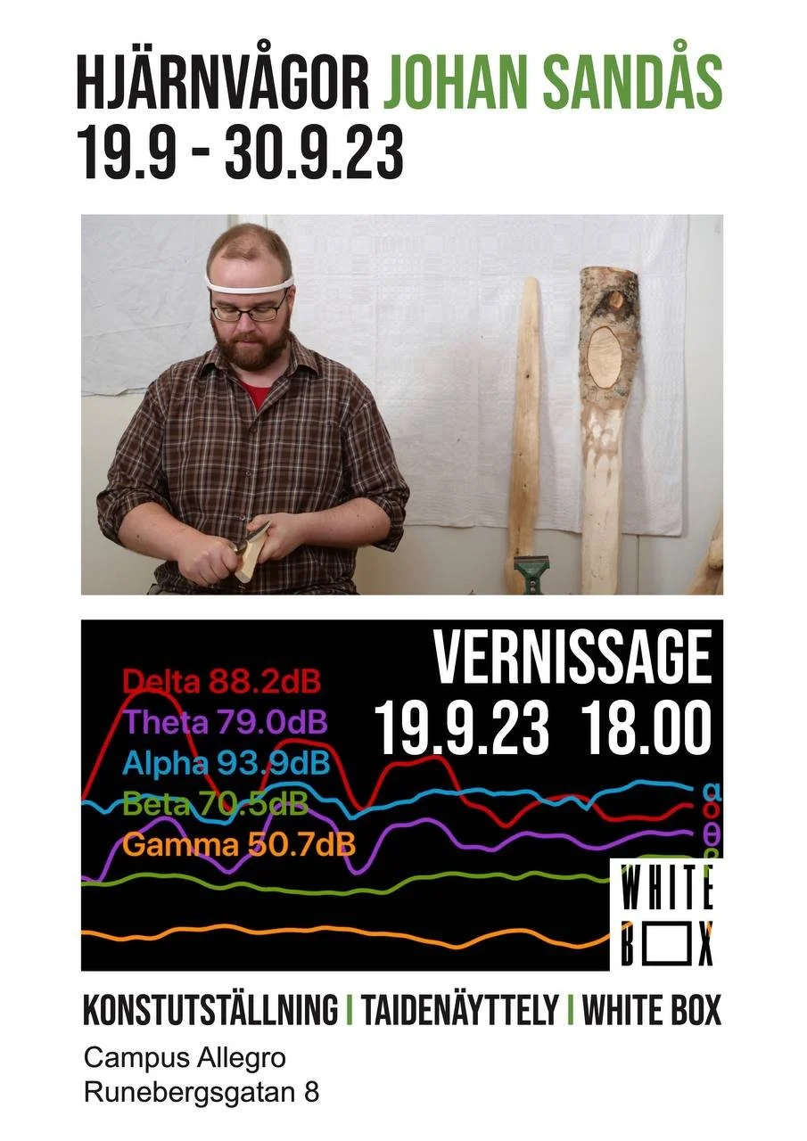 Hjärnvågor - Johan Sandås