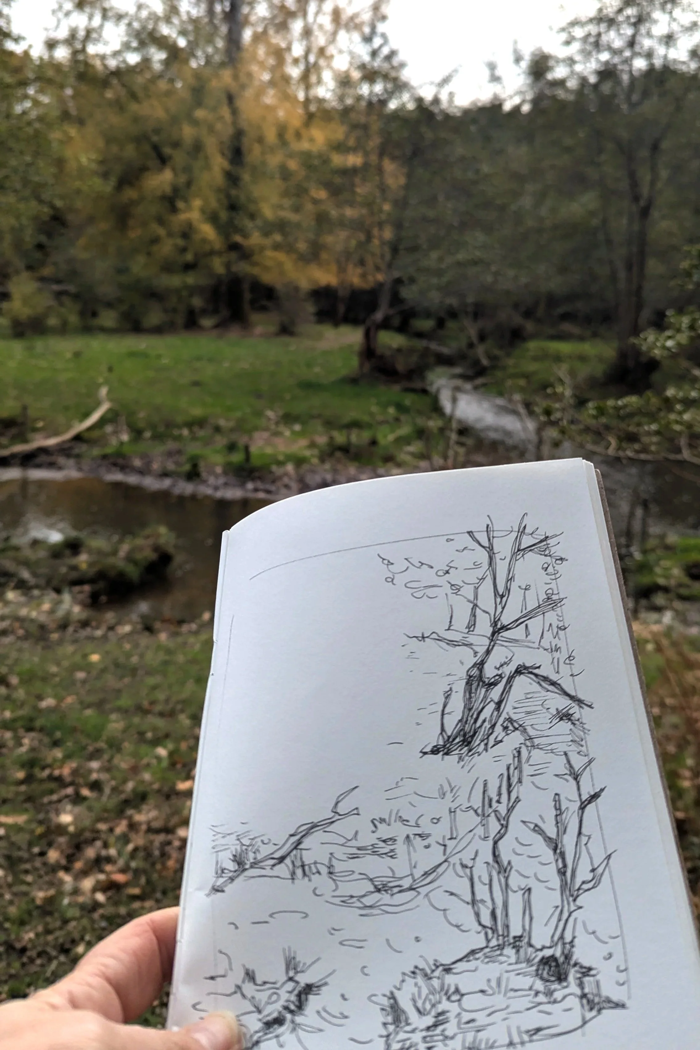 The Chase National Trust Berkshire 1