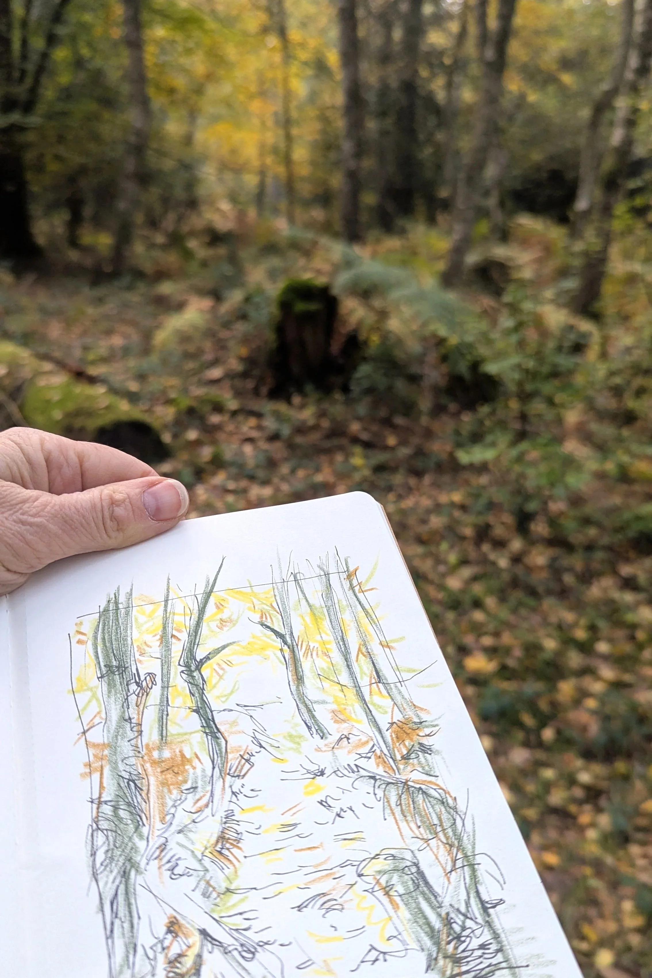 The Chase National Trust Berkshire 2