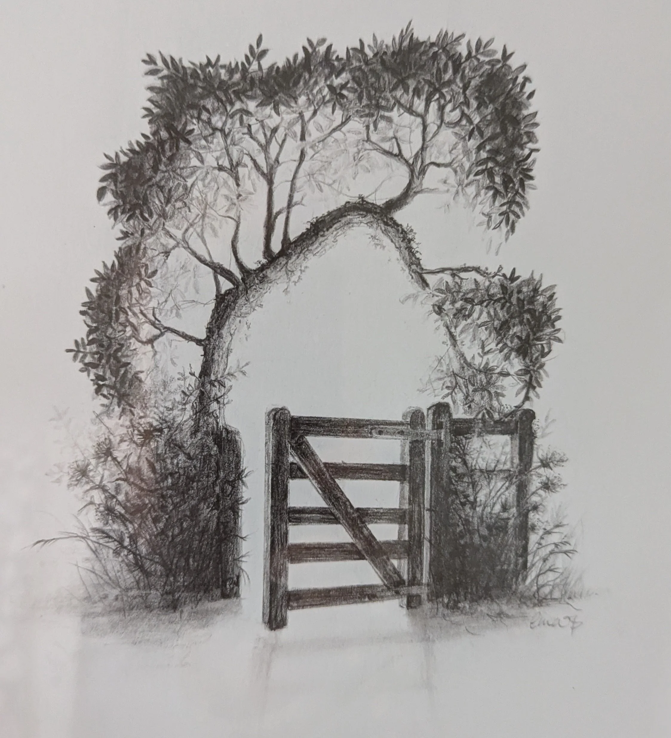 berkshire-country-walking-gate-tree-hand-drawn-by-emma.jpg
