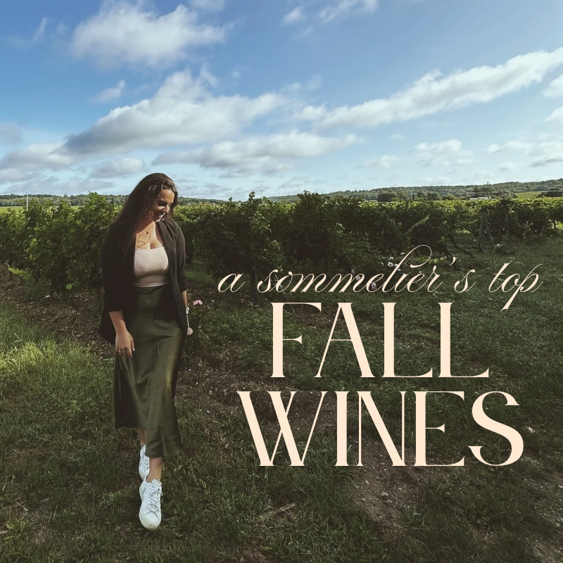 A Sommelier’s Favorite Wines for Fall 🍂🍷
