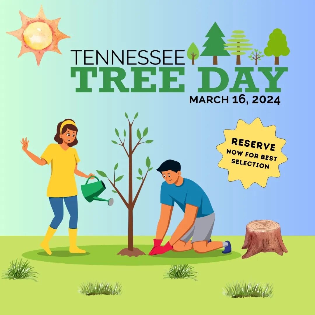 We are proud to be a TN Tree Day pick up site with @tennenvcouncil
Reserve your trees through the link in our bio 💚