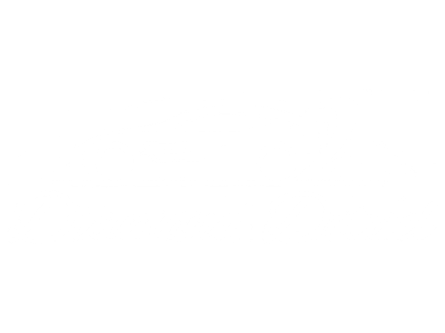 Diamond Detail Orlando