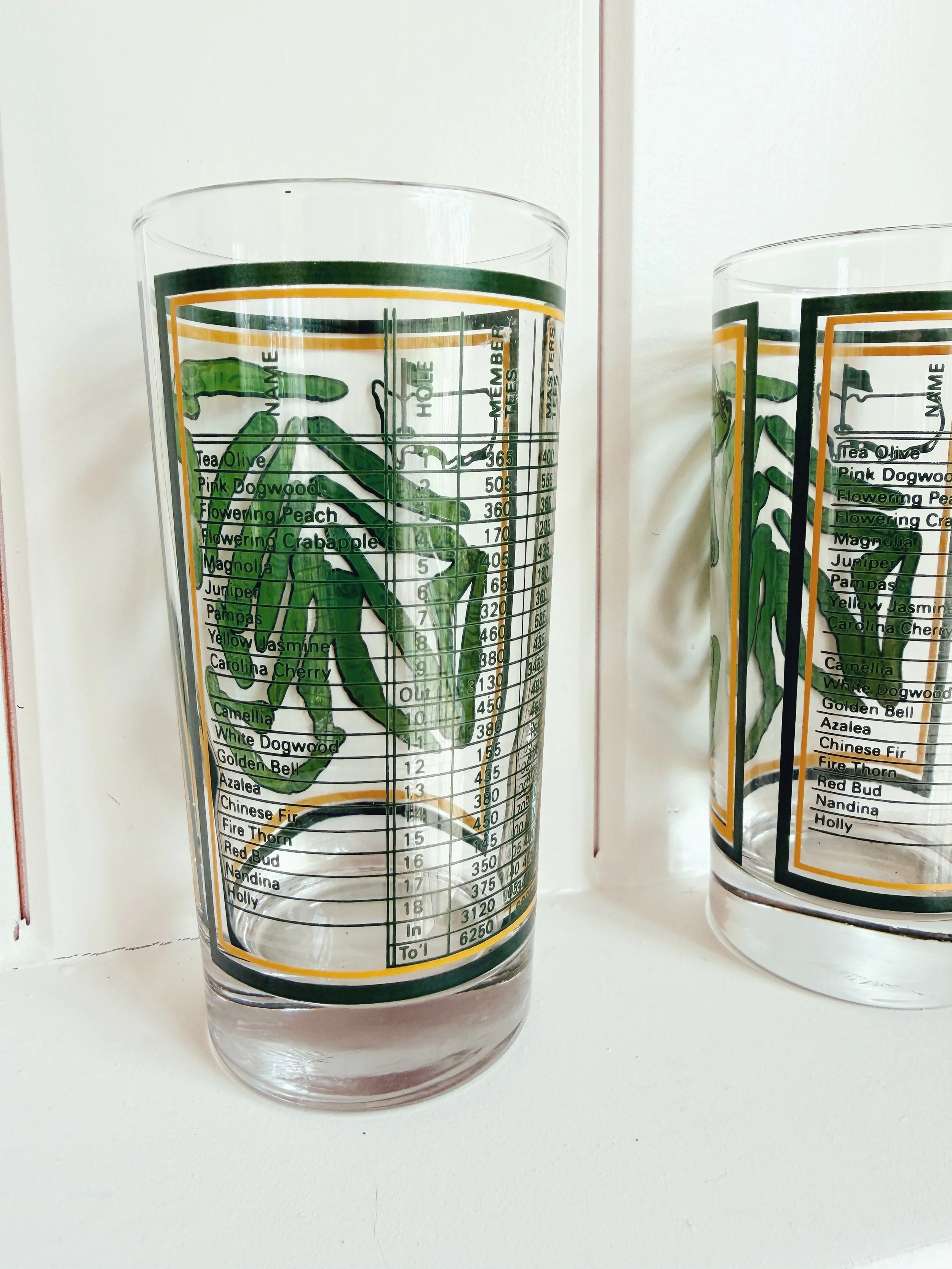 IMG_7063.jpeg (Copy) (Copy)