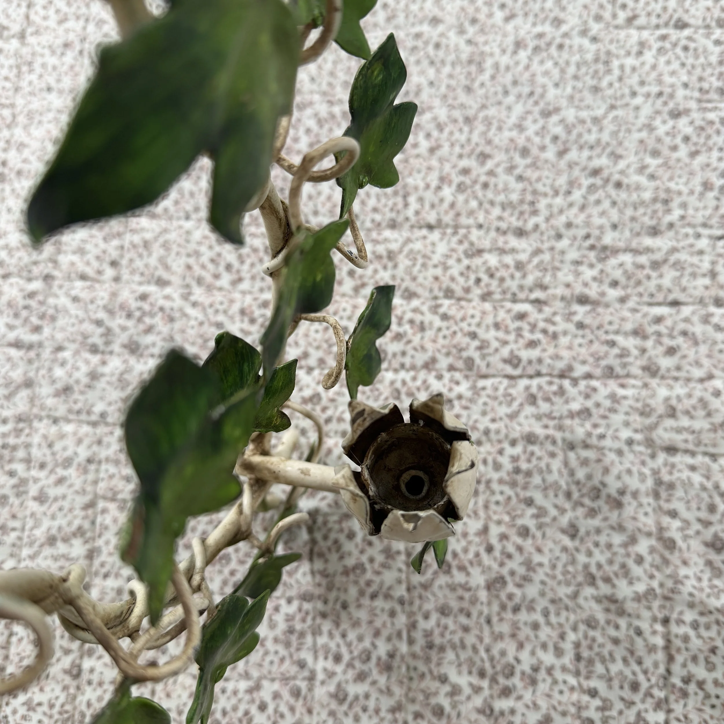 IMG_2207.jpeg