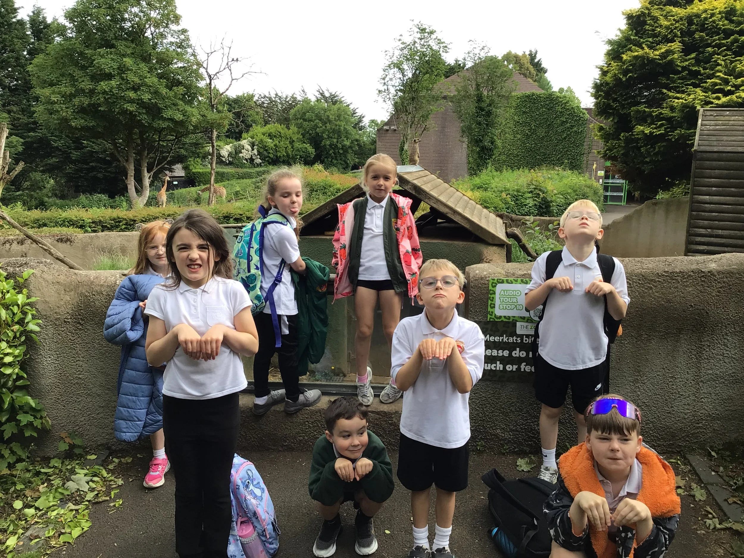IMG_0074.jpeg