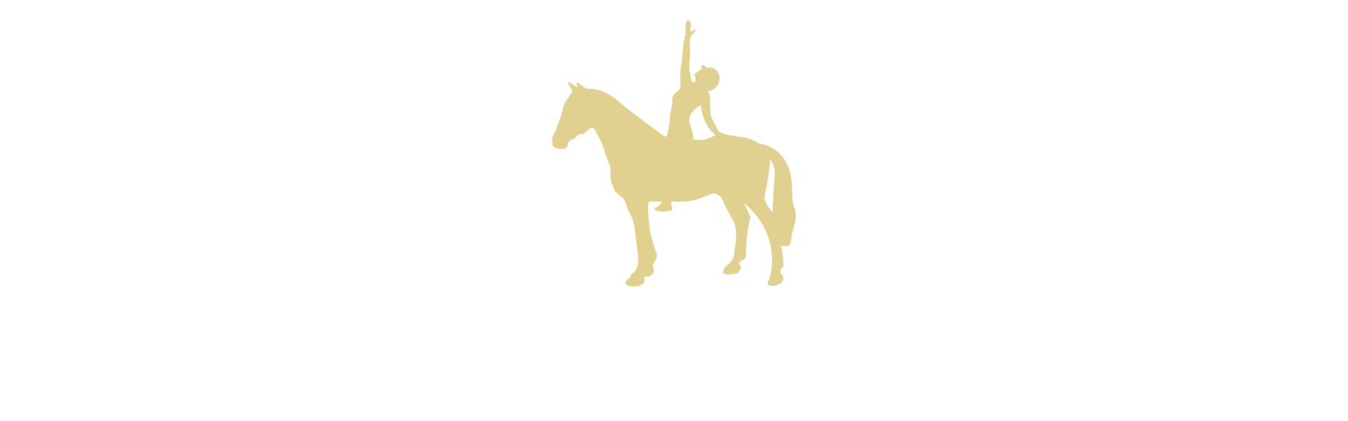 Ashley Mancuso Dressage Training, Video Productions &amp; Yoga Services