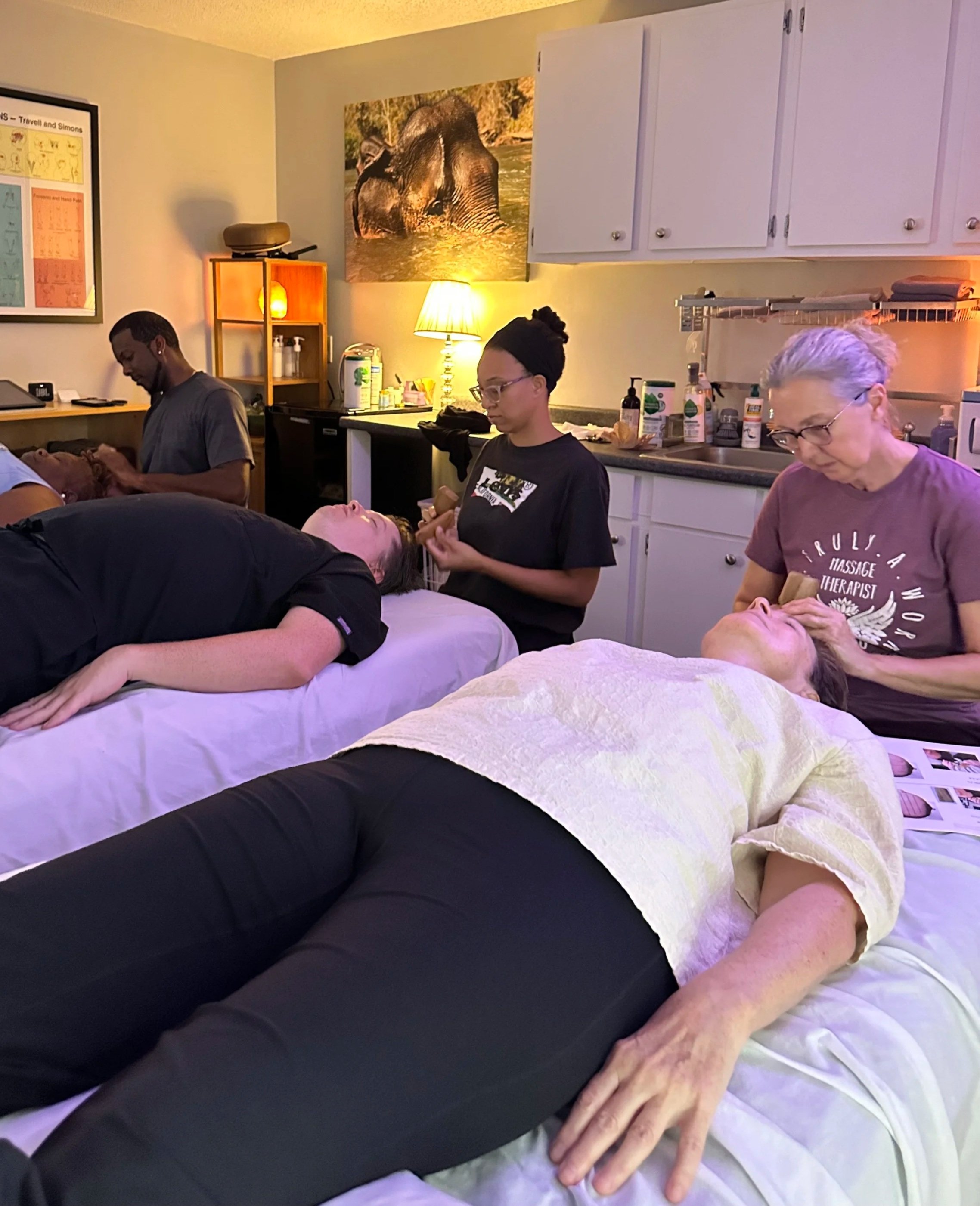 Small Group Training for Tok Sen Facial Massage at Organic Touch Inc in Mint Hill, NC
