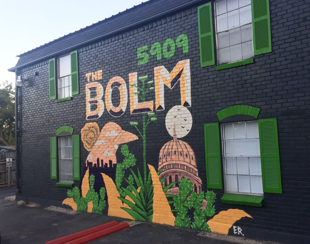 ER-everyday-research-muralist-street-artist-austin-atx-texas-graffiti-art-spray-paint-efren-rebugio-street-art-mural-murals-colorful-the-bolm-apartments-grackle-cactus.jpg