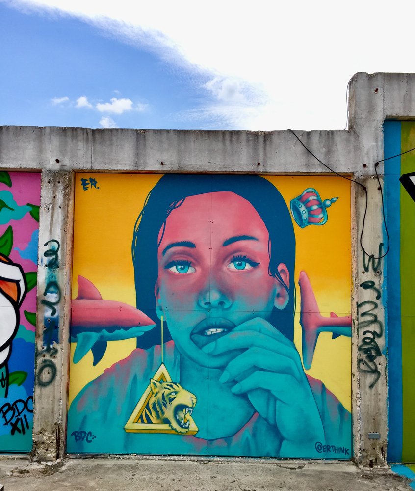 ER-everyday-research-muralist-street-artist-austin-atx-texas-graffiti-art-spray-paint-efren-rebugio-street-art-mural-murals-colorful-live-painting-essex-modern-city-san-antonio-female-portrait-tiger.jpg