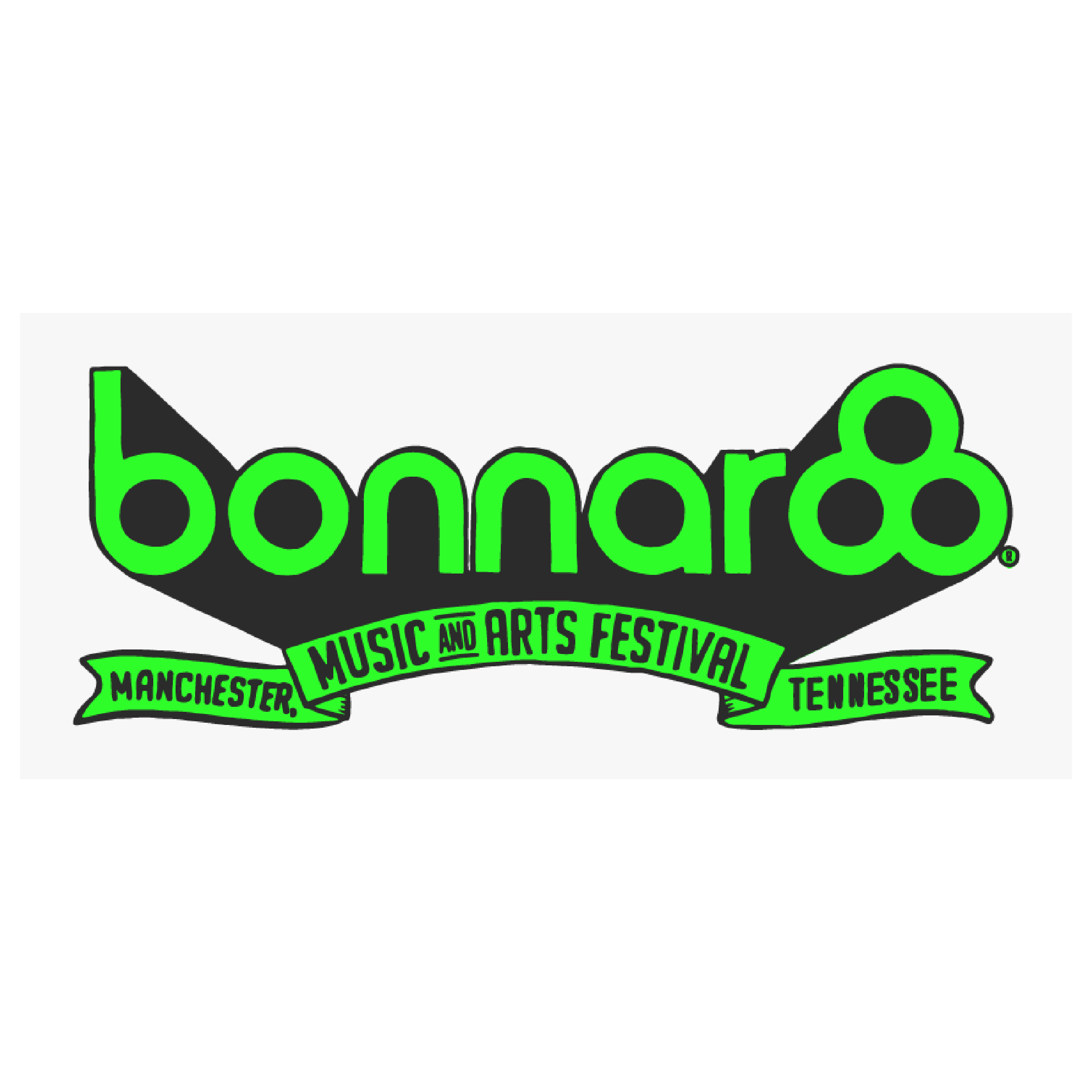 bonnaroo-ER-everyday-research-muralist-street-artist-austin-atx-texas-graffiti-art-spray-paint-efren-rebugio-street-art-mural.png