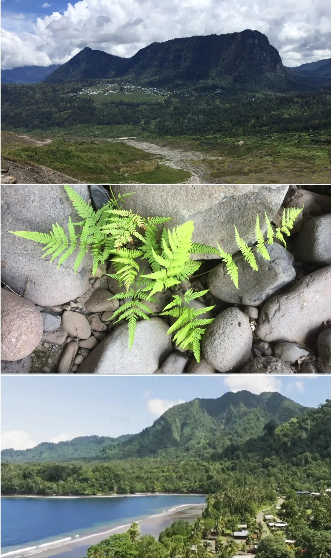 A scenic view of green mountains with a river running through a lush valley, a close-up of a green fern growing among rocks, and a coastal scene with a beach, green hills, and a body of water under a partly cloudy sky.