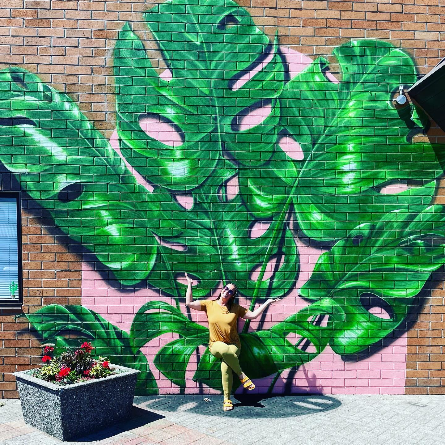 ❤️🌿Happy HEAT🔥my plant junkies!!! Downtown Langley is bursting with so much life and excitement. Everyone is out and about enjoying the summer vibes. Have you seen the 3D PLANT MURAL done by @judyscustomart beside my botanical boutique?! Omg it&rsq