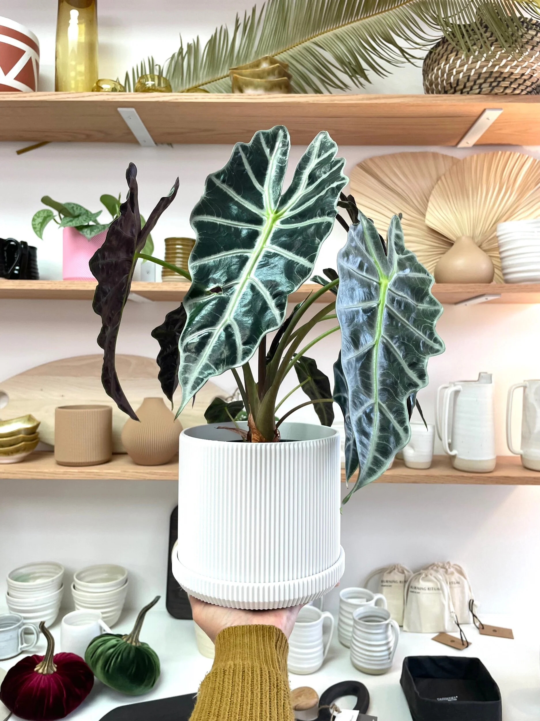 E56DD3A8-D083-4928-BEEF-008C9E1F1F3E