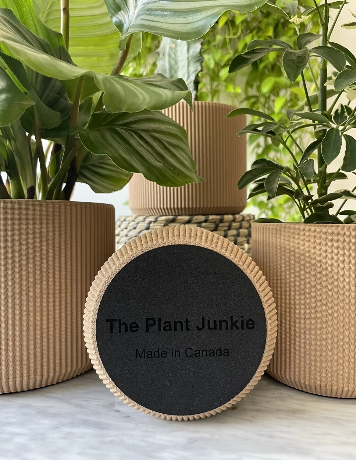 DF3EBF48-7BA6-4ADA-ACCF-C88E8DF2CFEE