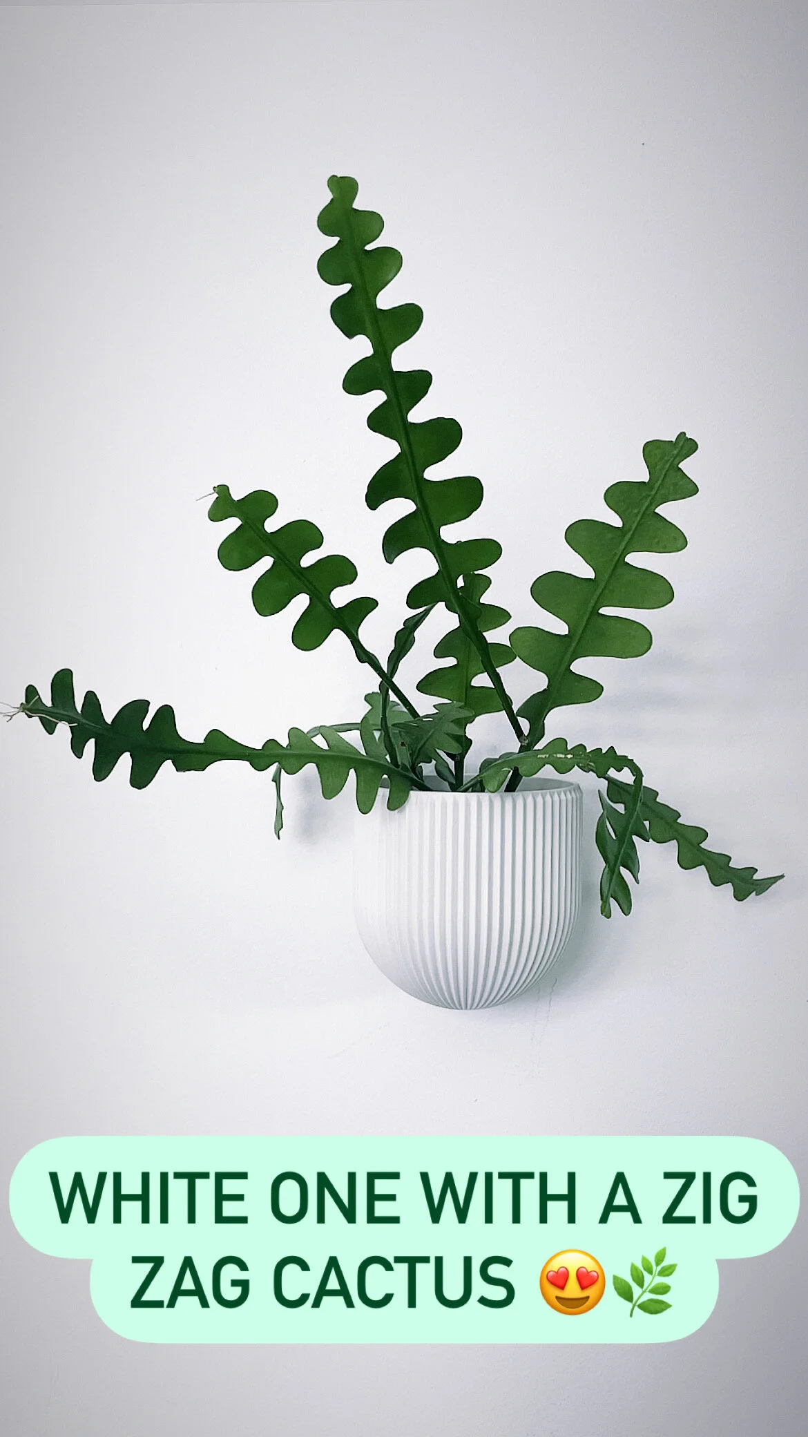 D637FC82-77F8-4052-BF4B-77BF25A7053F