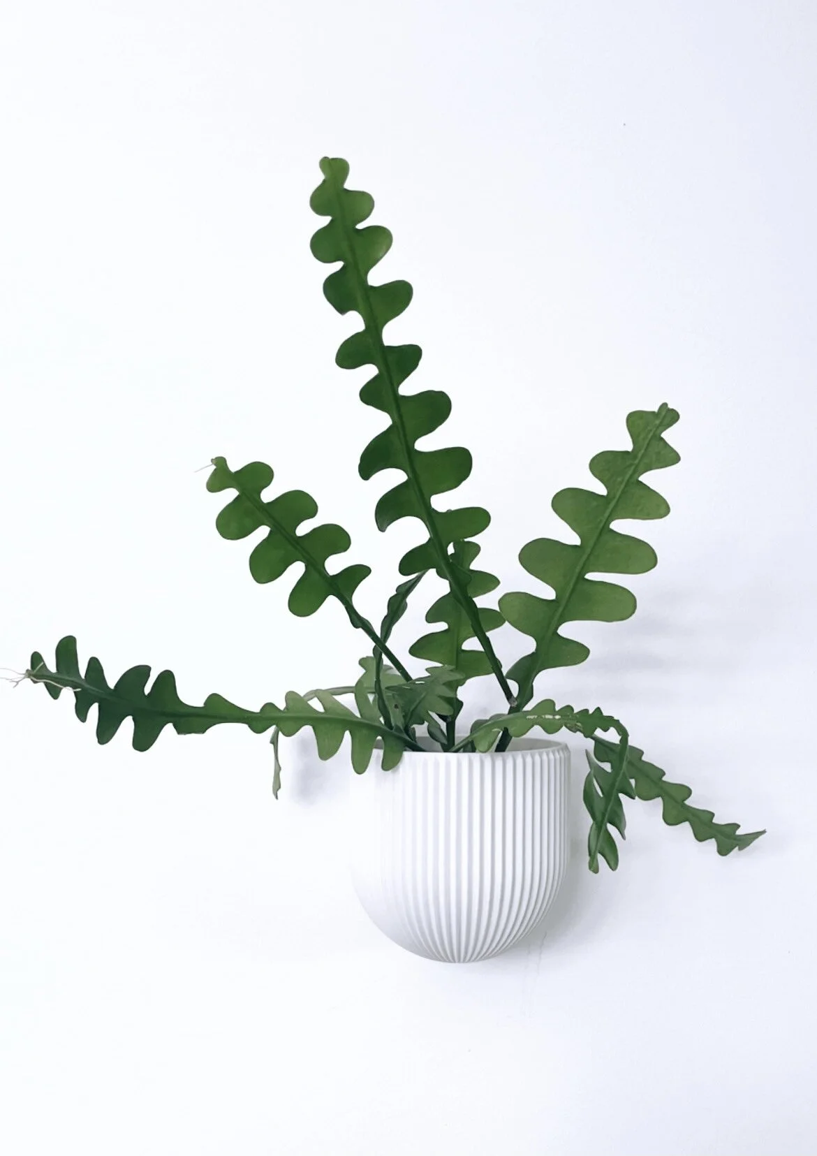 802D92DB-A3B0-47CB-A946-DC6F55C1C7DD