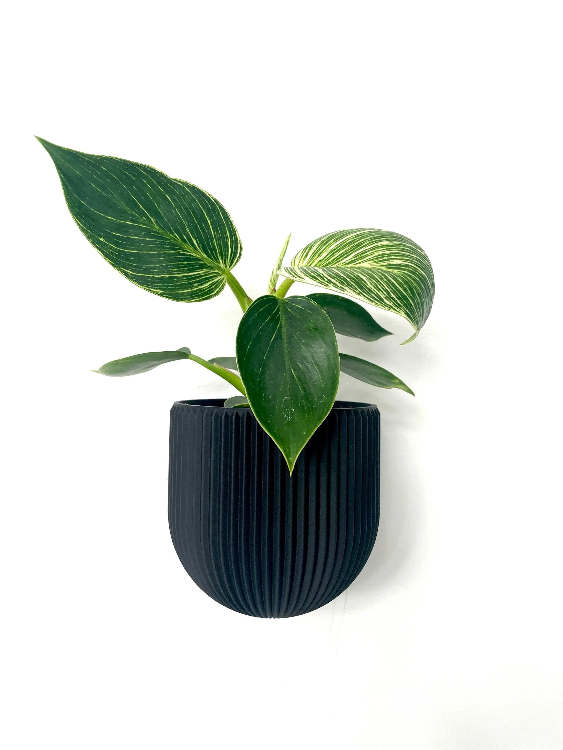 15F36132-AFDA-449D-84C9-9097061978DF