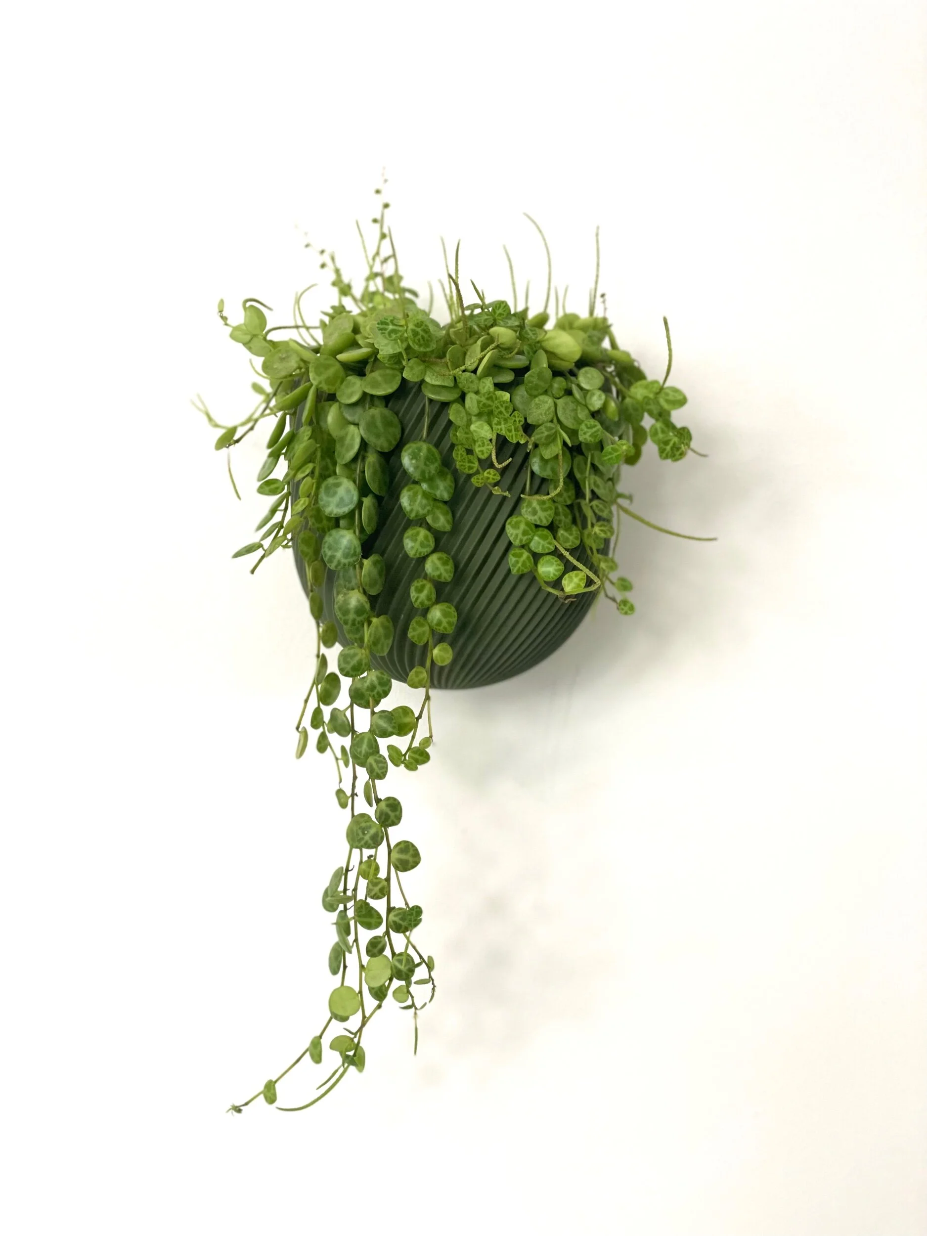 B245CC3E-CEB3-49A7-B35A-0269AC378B58