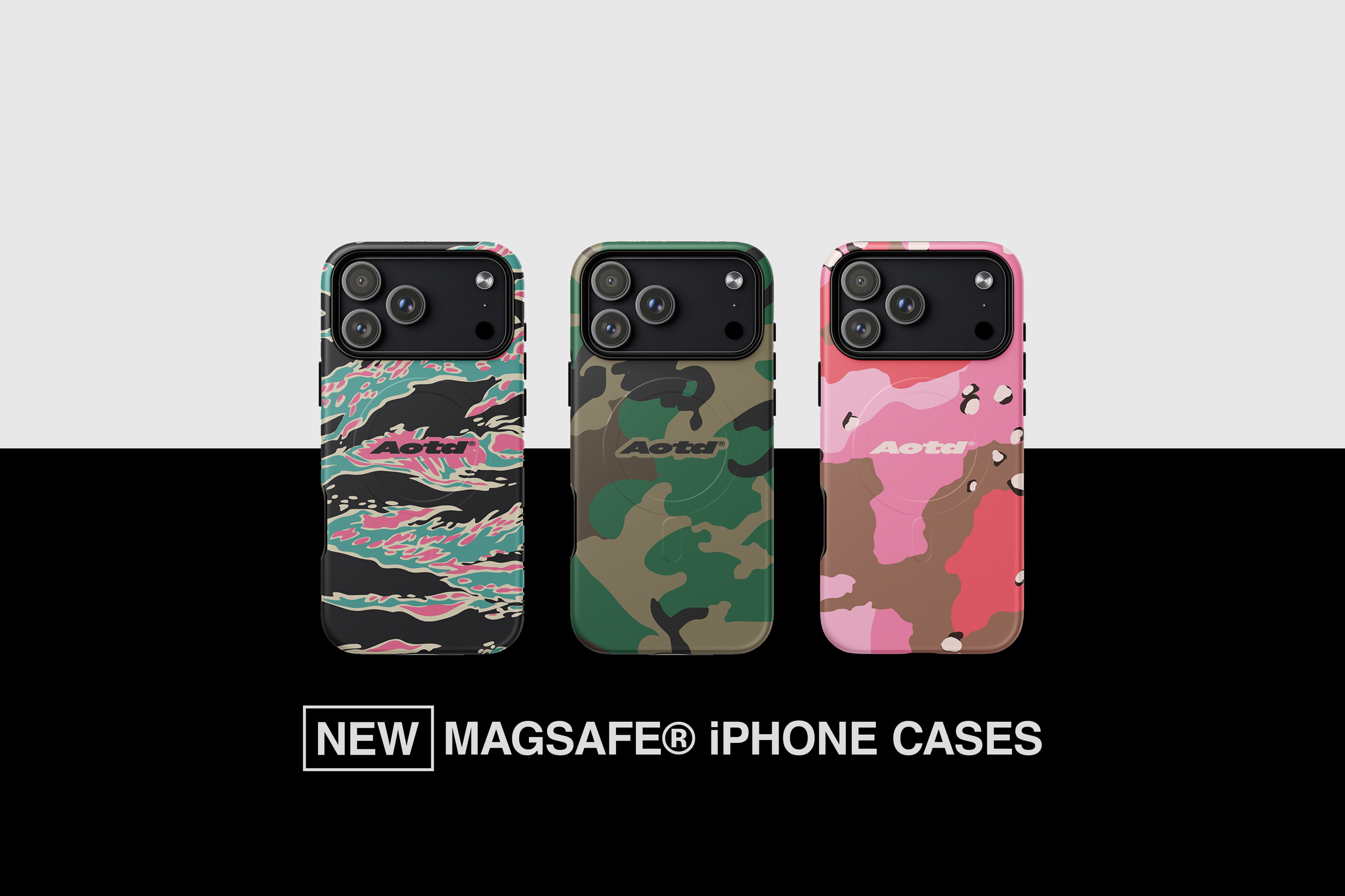 CASES.png