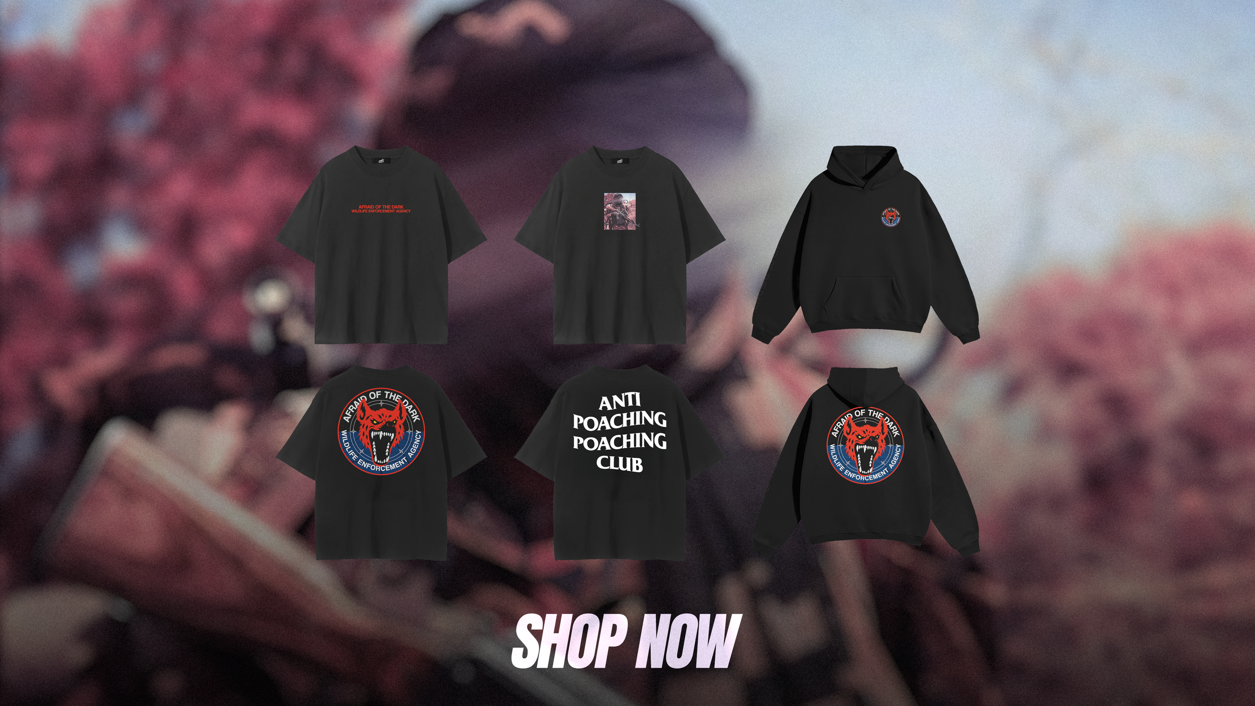 WEB HEADER2.png