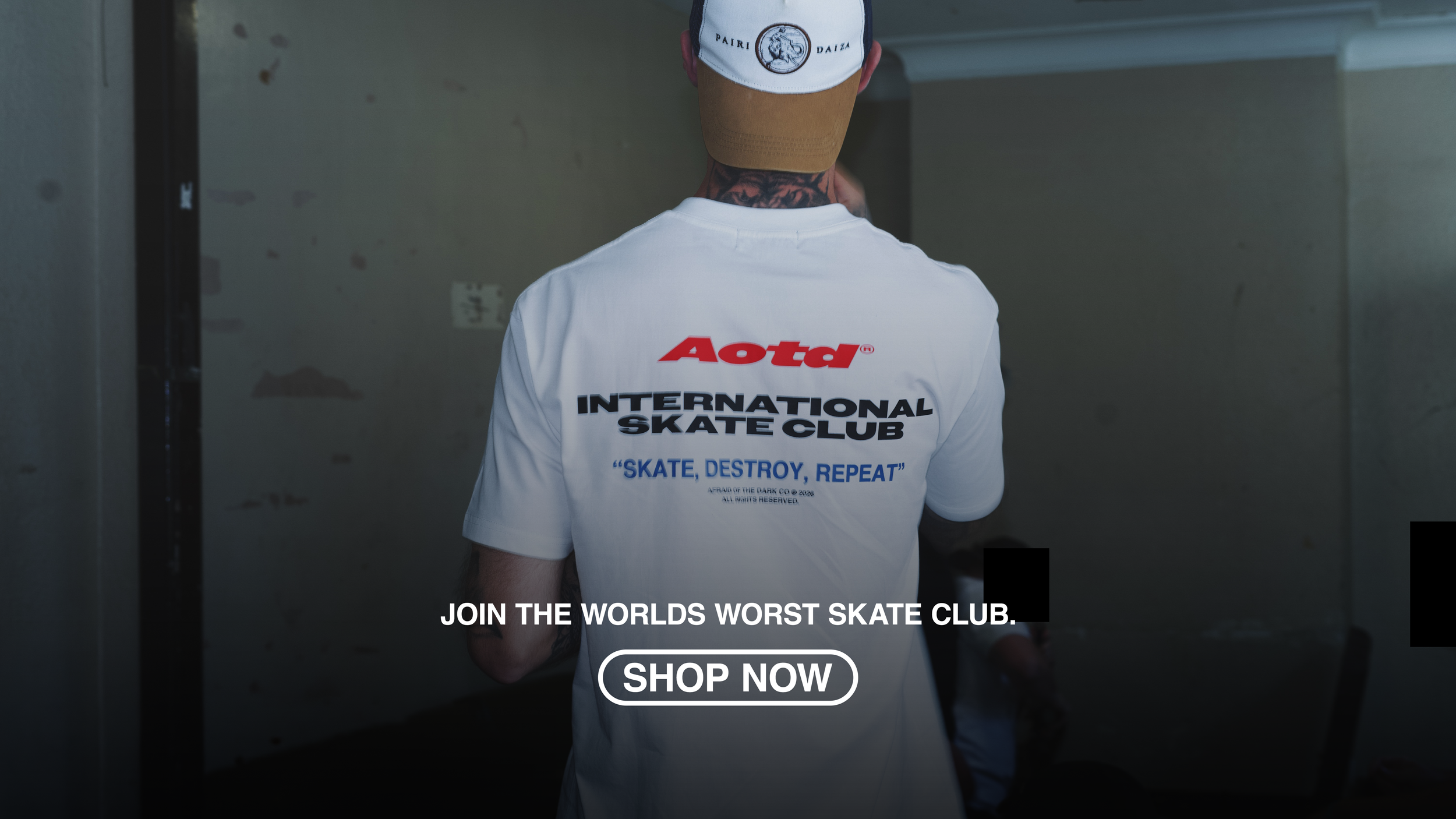 skate club banner.png