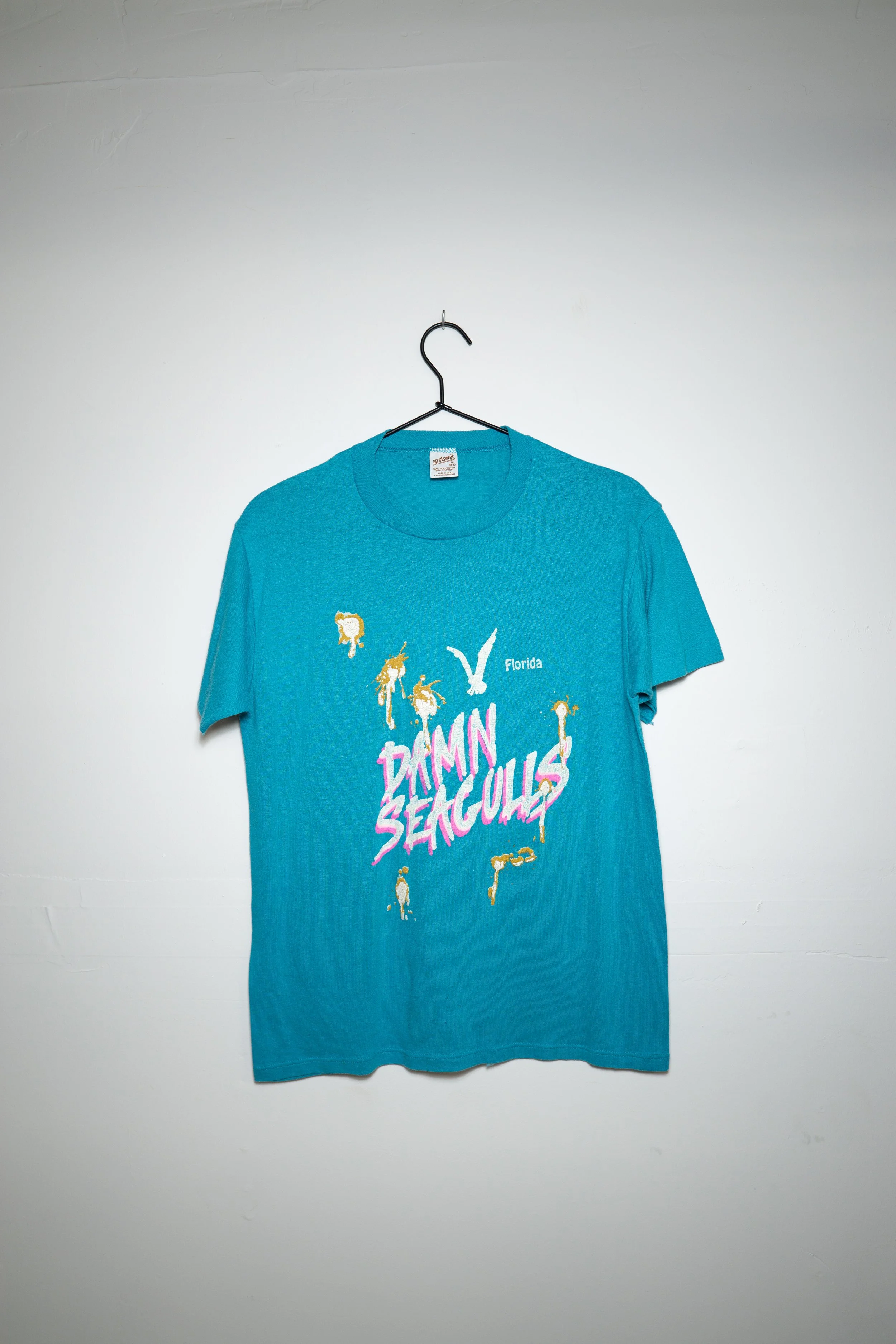 Florida Damn Seagulls!