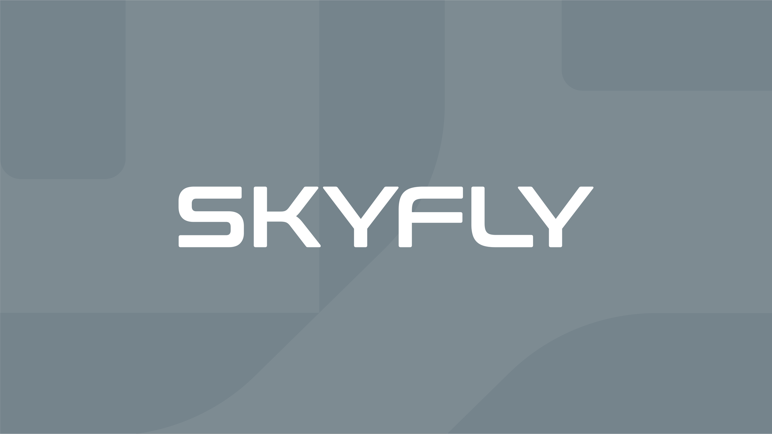 Brand Identity | Skyfly