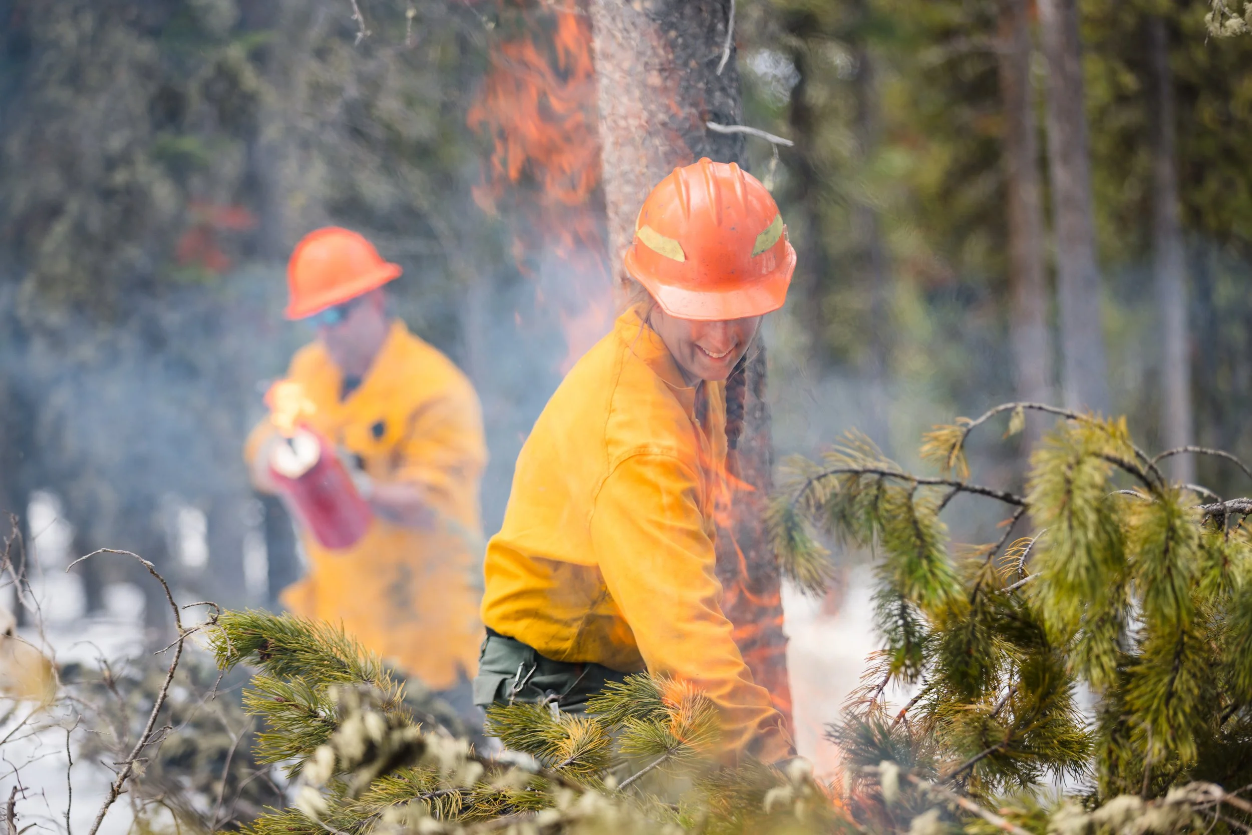 Sustainability In Our Landscapes: Firebreak Management Receives Sustainable Business Achievement