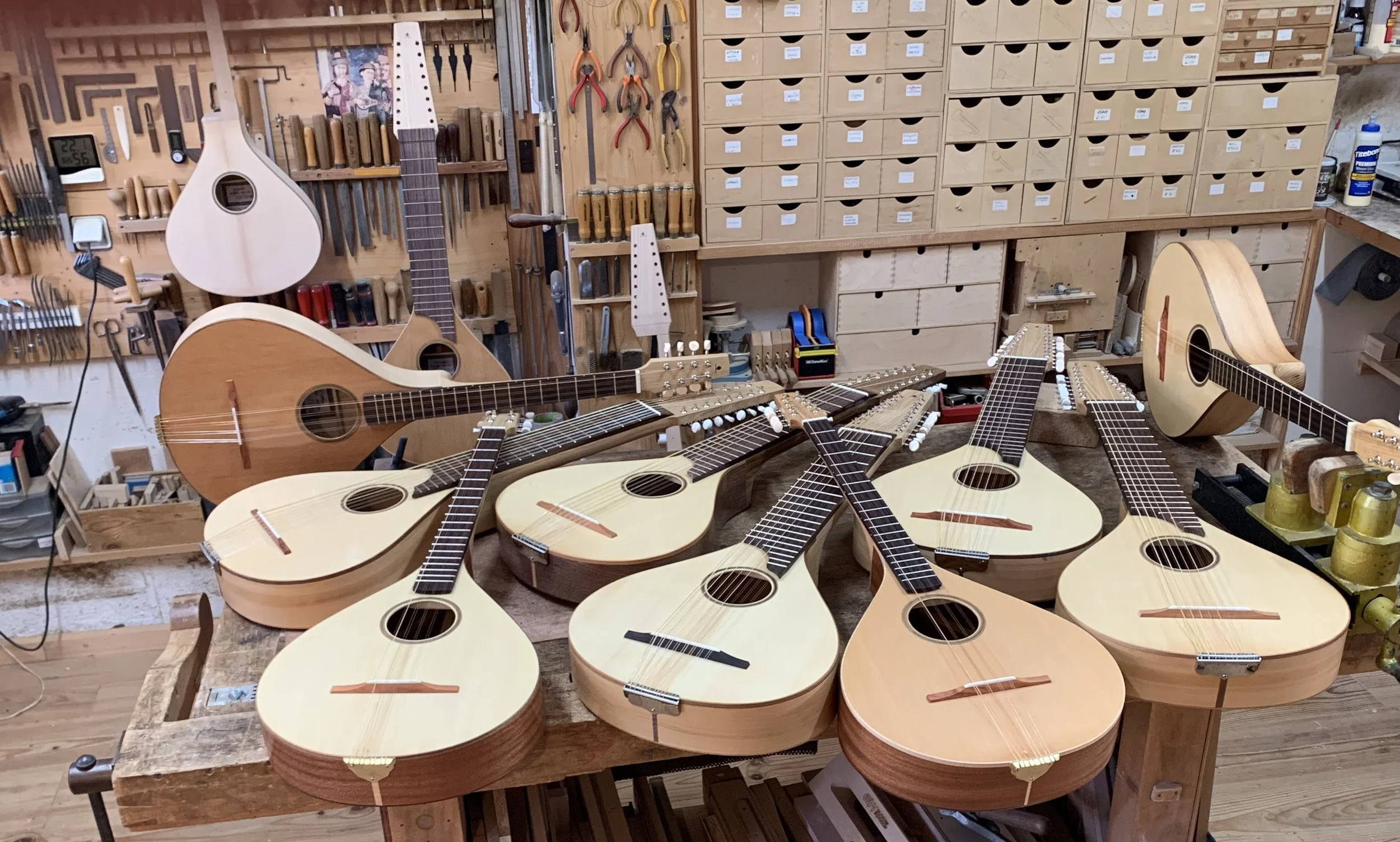 Balanina & Culomba Studiu