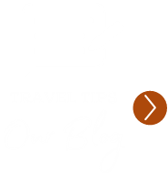 Blog and Featured Articles