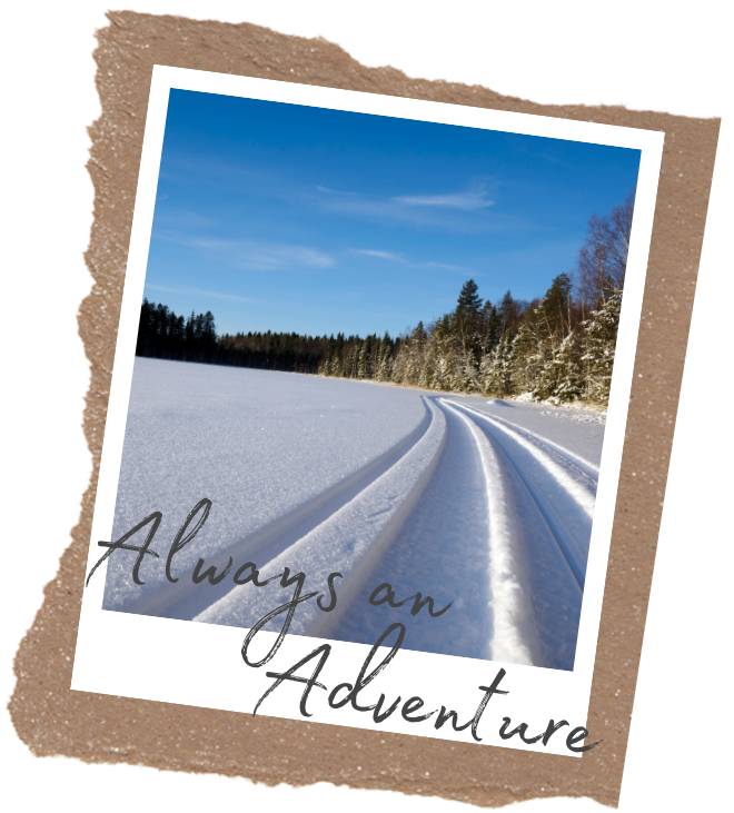 Snowmobiling — SaynerStar Lake Chamber of Commerce