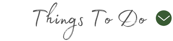 Things to do in Sayner-Star Lake, WI