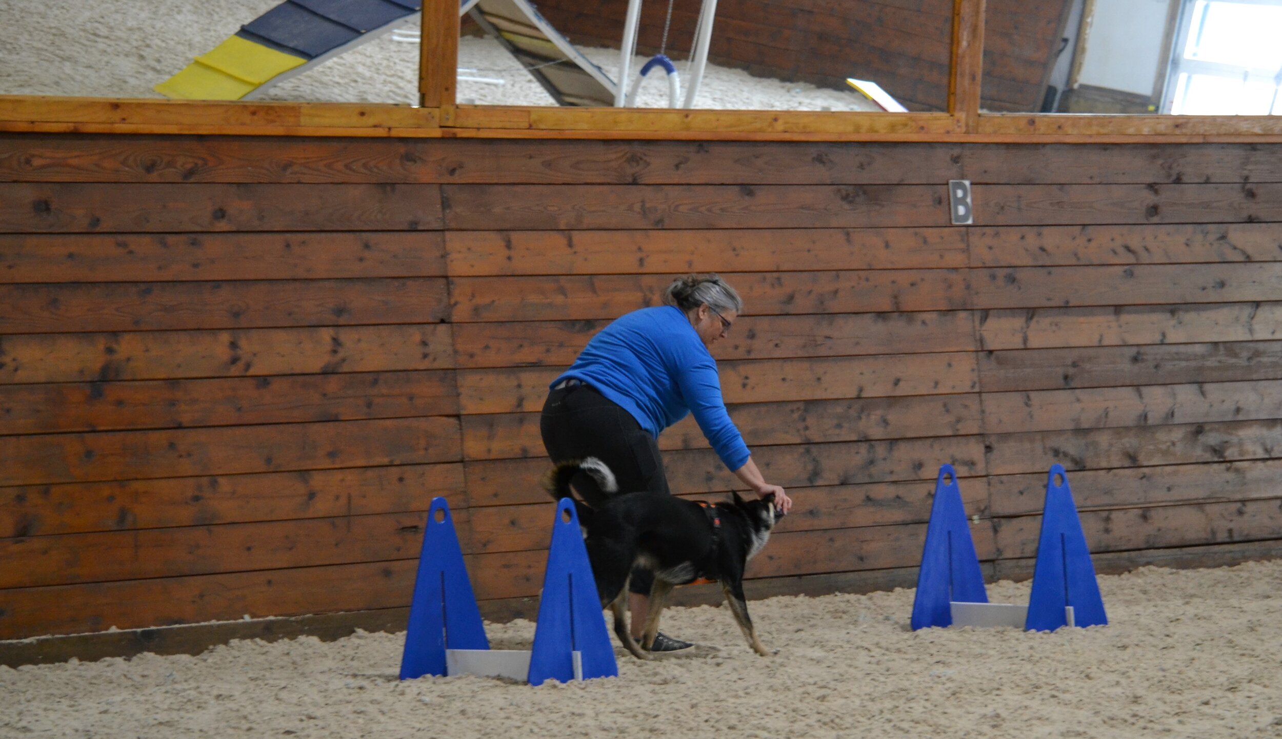 Handler & Dog training in fly ball course.jpg