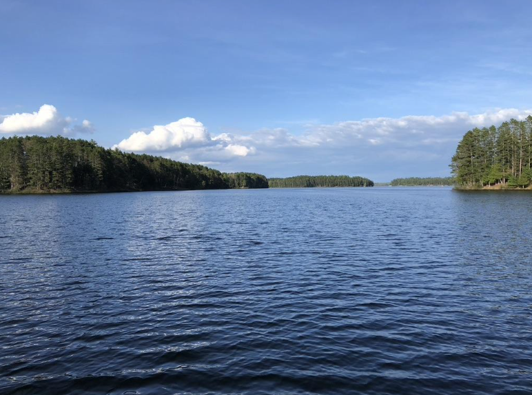 Plum Lake Association — SaynerStar Lake Chamber of Commerce