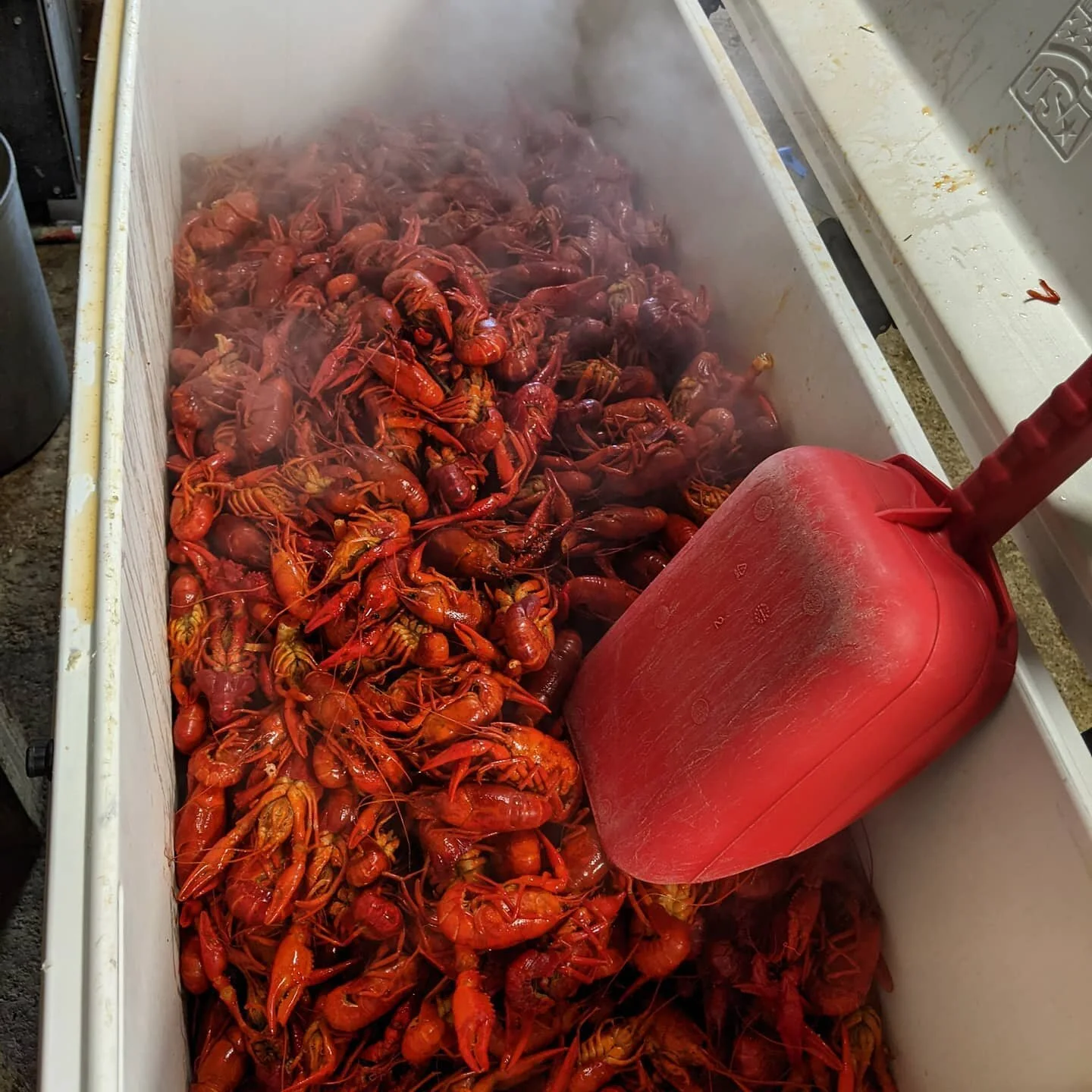 How much is too much? Dive in before the season ends! 🦐
#boiledcrawfish #crawfish #crawfishseason #nola #wherenolaeats