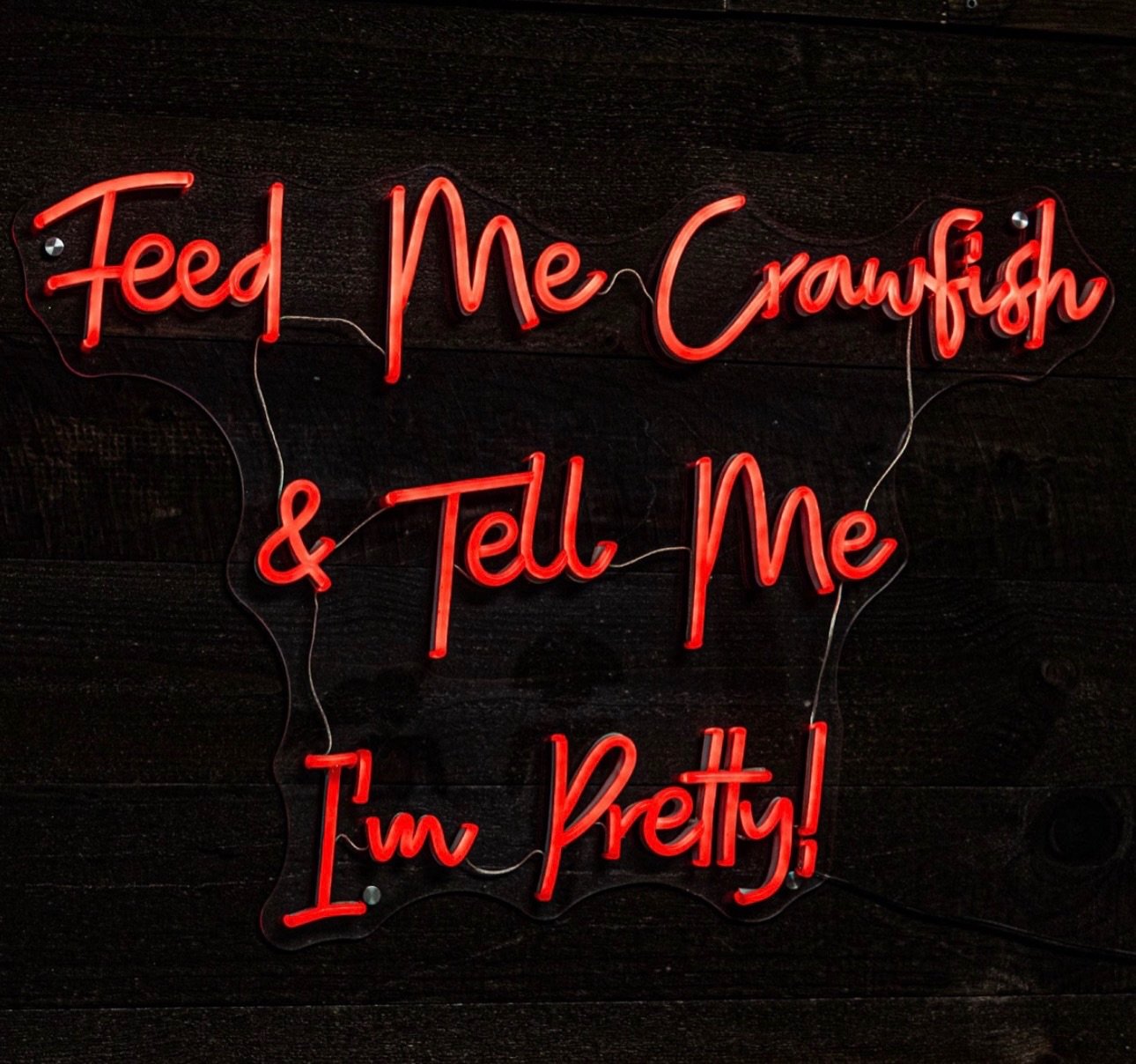 Results vary (but usually good outcomes) 😀 

We are OPEN for Mardi Gras! Til 7pm. 

#mardigras #nola #fattuesday