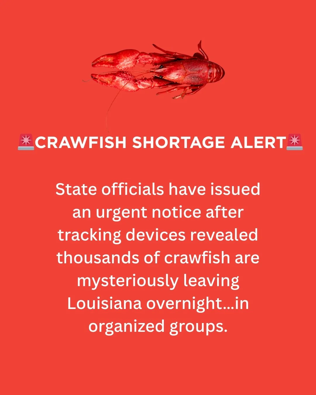 Not the kind of news anyone wants to wake up to&hellip;&nbsp;

Everyone at Bon Temps Boulet&rsquo;s Seafood is deeply saddened and concerned by this recent development 💔

We&rsquo;re monitoring the situation closely and asking the community to keep 