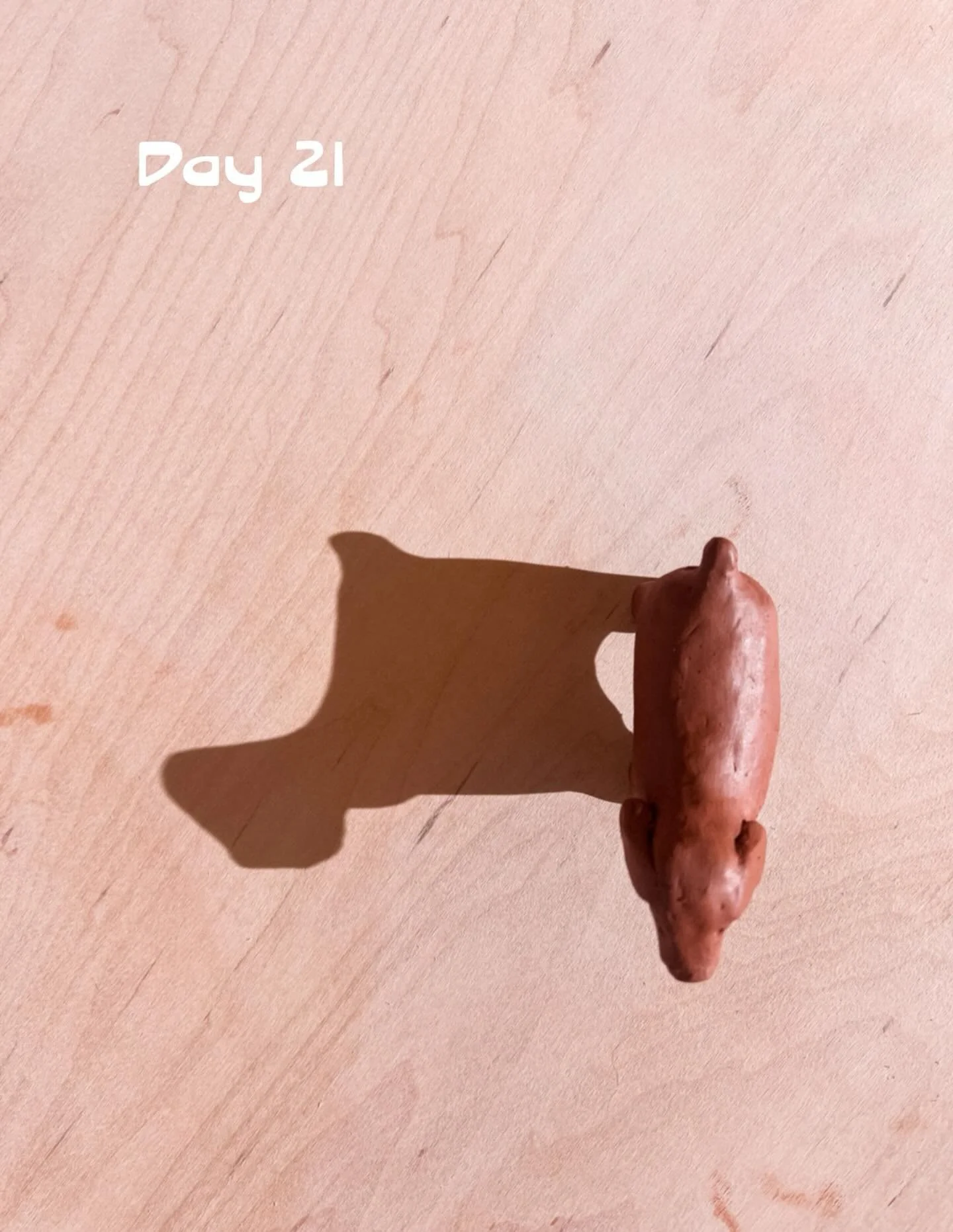 Day 21 of #the100dayproject 🌿 #handbuilding #clayworksvancouver #claystudio