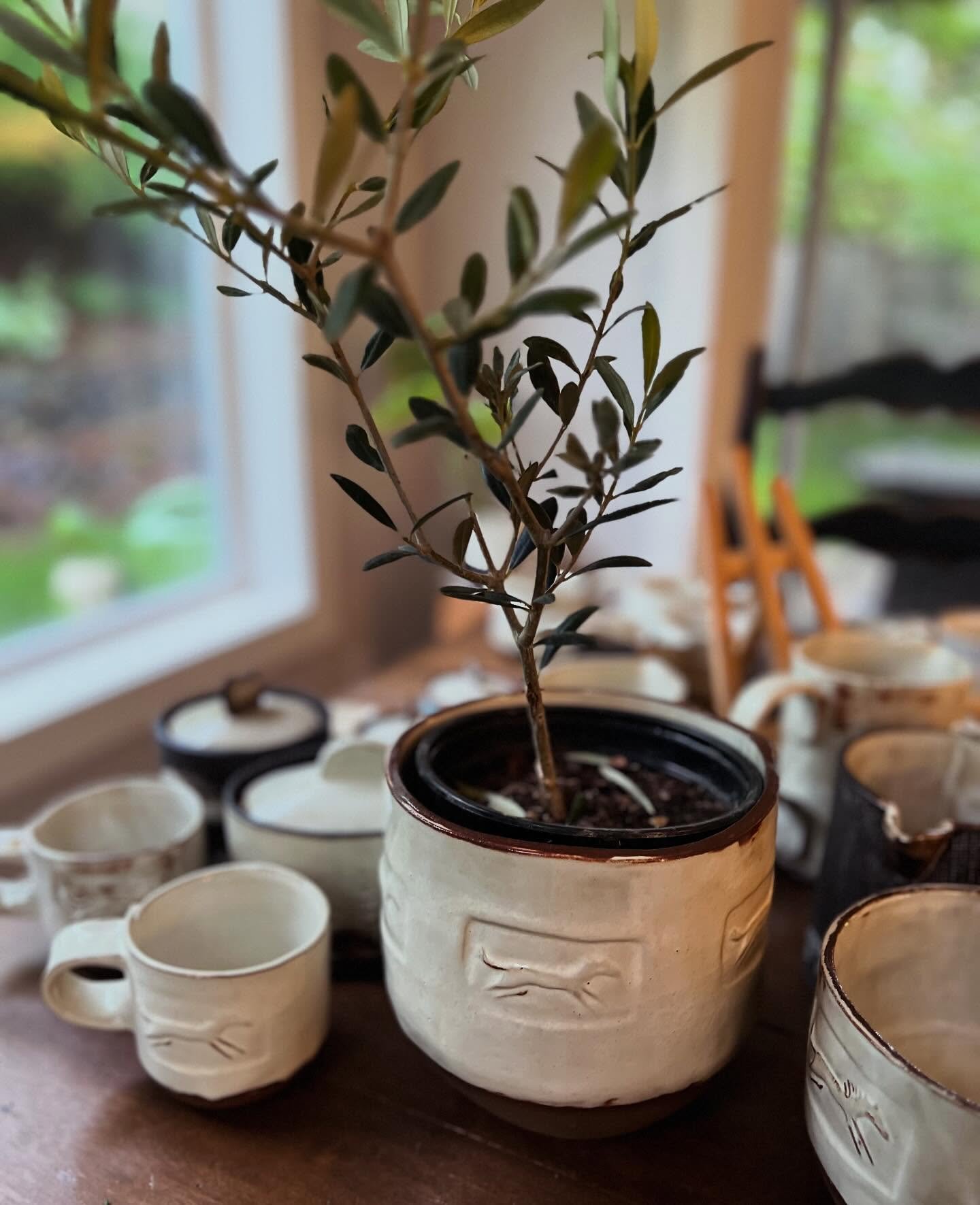 Day 33 of the #100dayproject 🌿 Making animal art in ceramic or watercolor. 🌿 Today we are packing up to be a part of @oregonpotters and @ceramicshowcase this weekend! Come see @jessjoner and me at booth #42! See you soon! #handbuiltpottery #slabbui