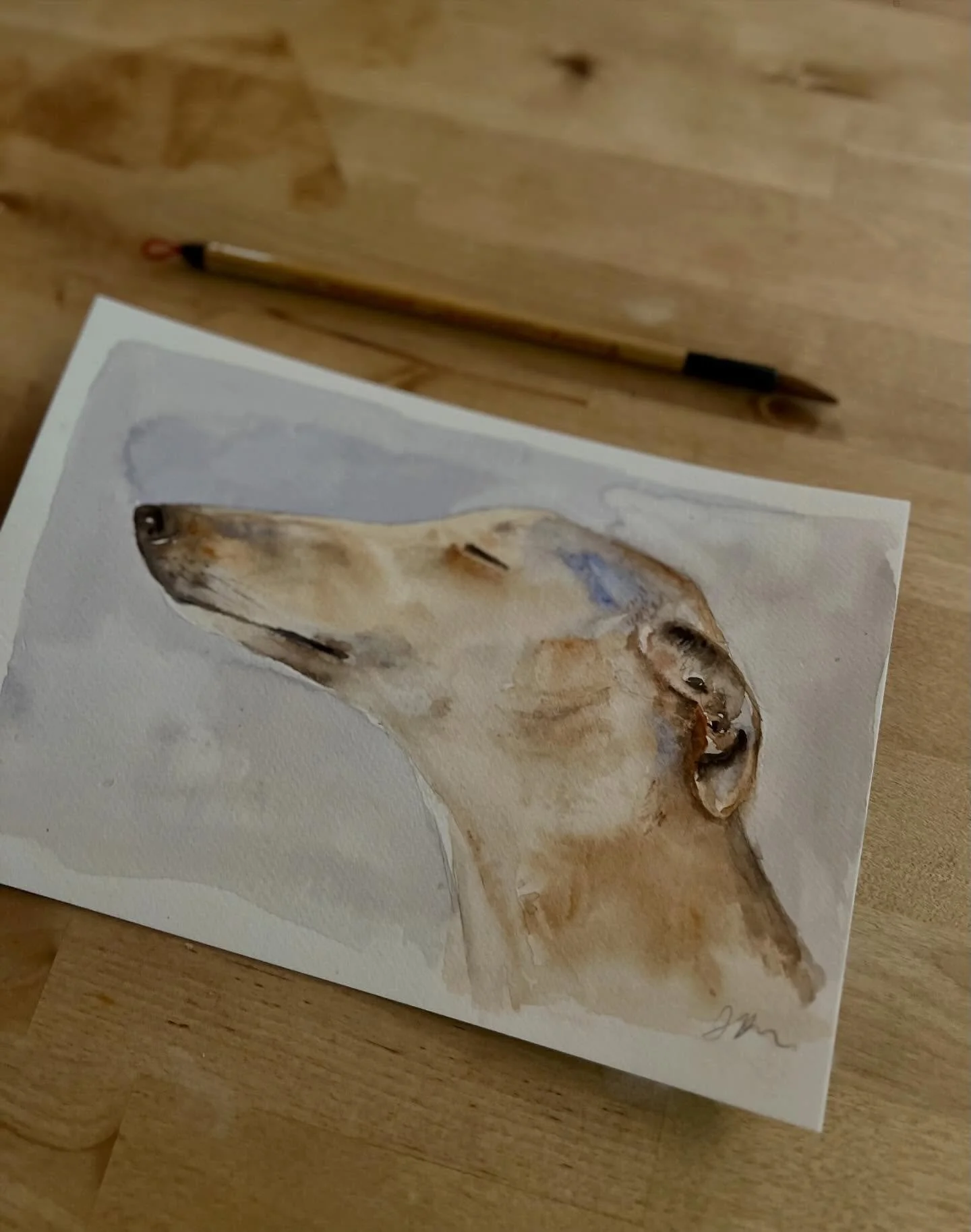 &ldquo;Keep some room in your heart for the unimaginable.&rdquo; #maryoliver 🌿 Day 35 of #the100dayproject 🌿Animal Art in ceramic or watercolor #watercolor #dogs
