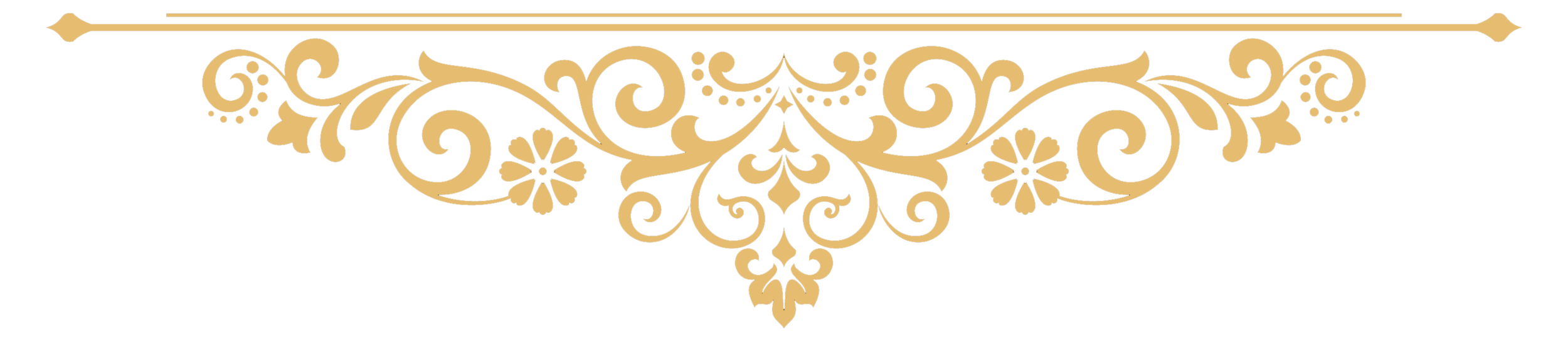 damask-divider-bottom.png