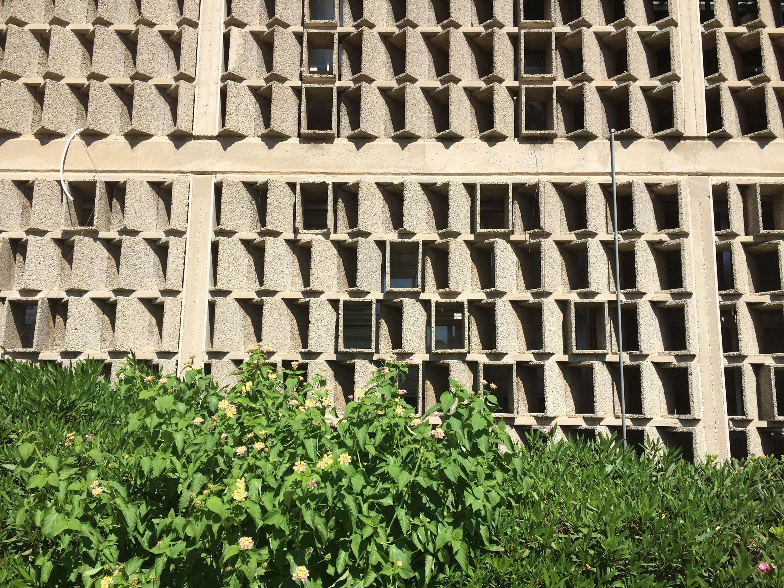 The Saorstát is a Neo-colony