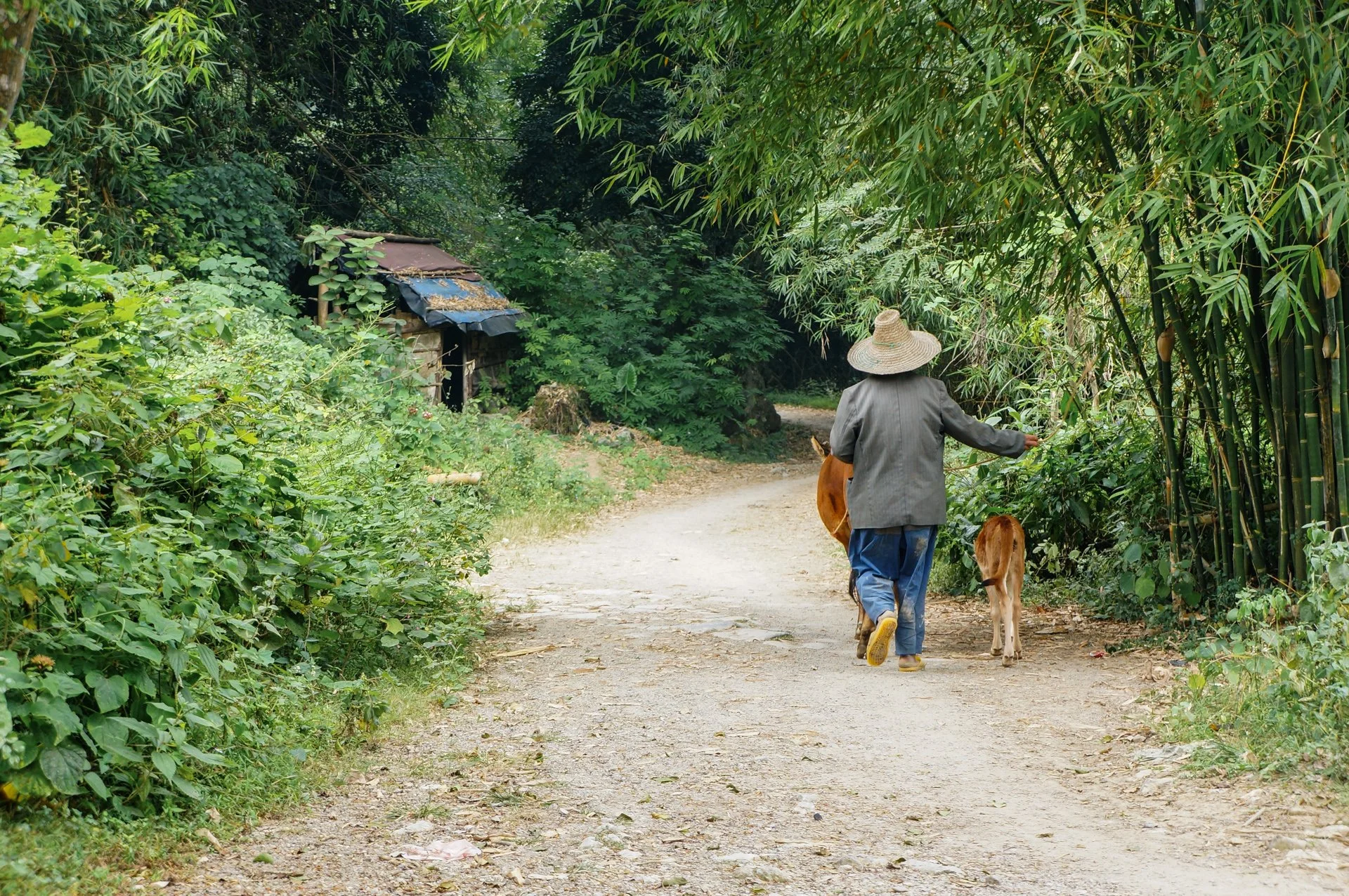 What Do We Want To Eat? 