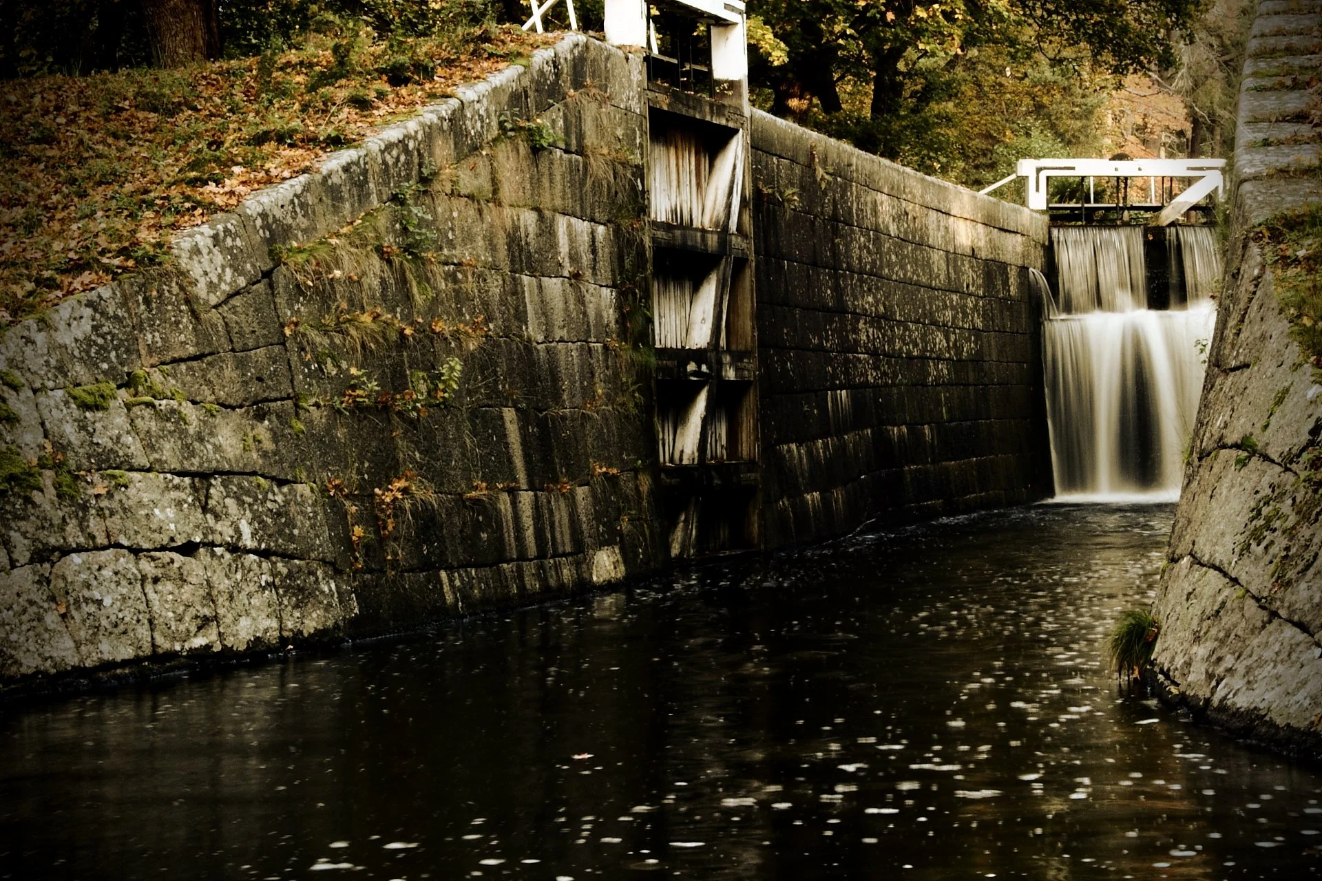 Convergent Forces, Convergent Crises