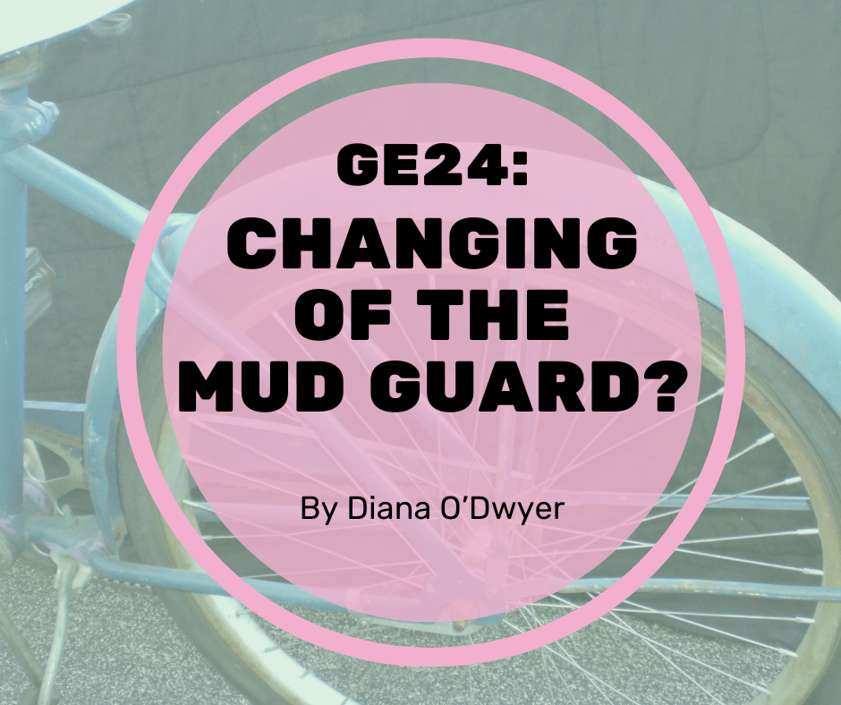 GE24: Changing of the Mudguard?
