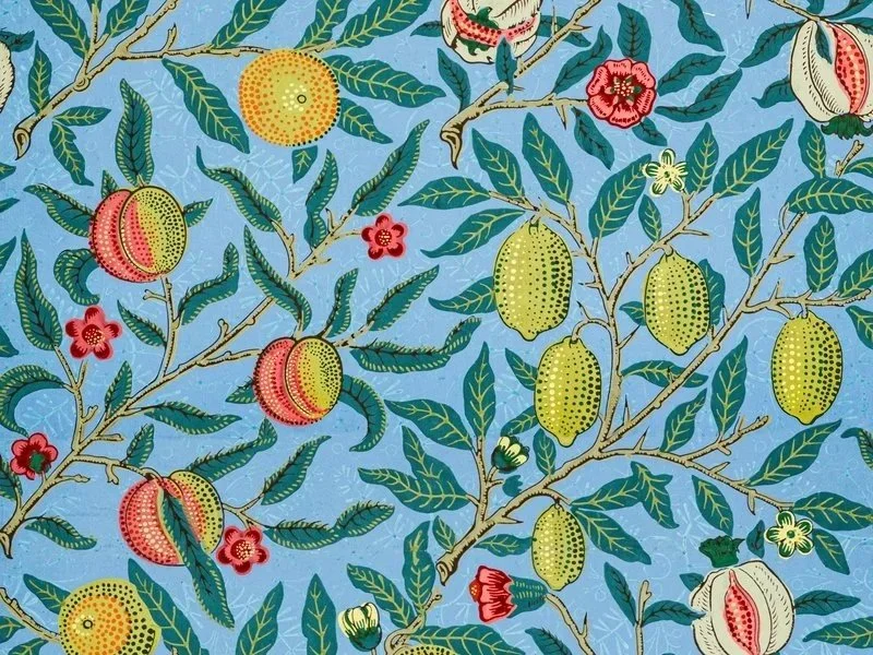 Three Principles of Ecosocialist Politics 