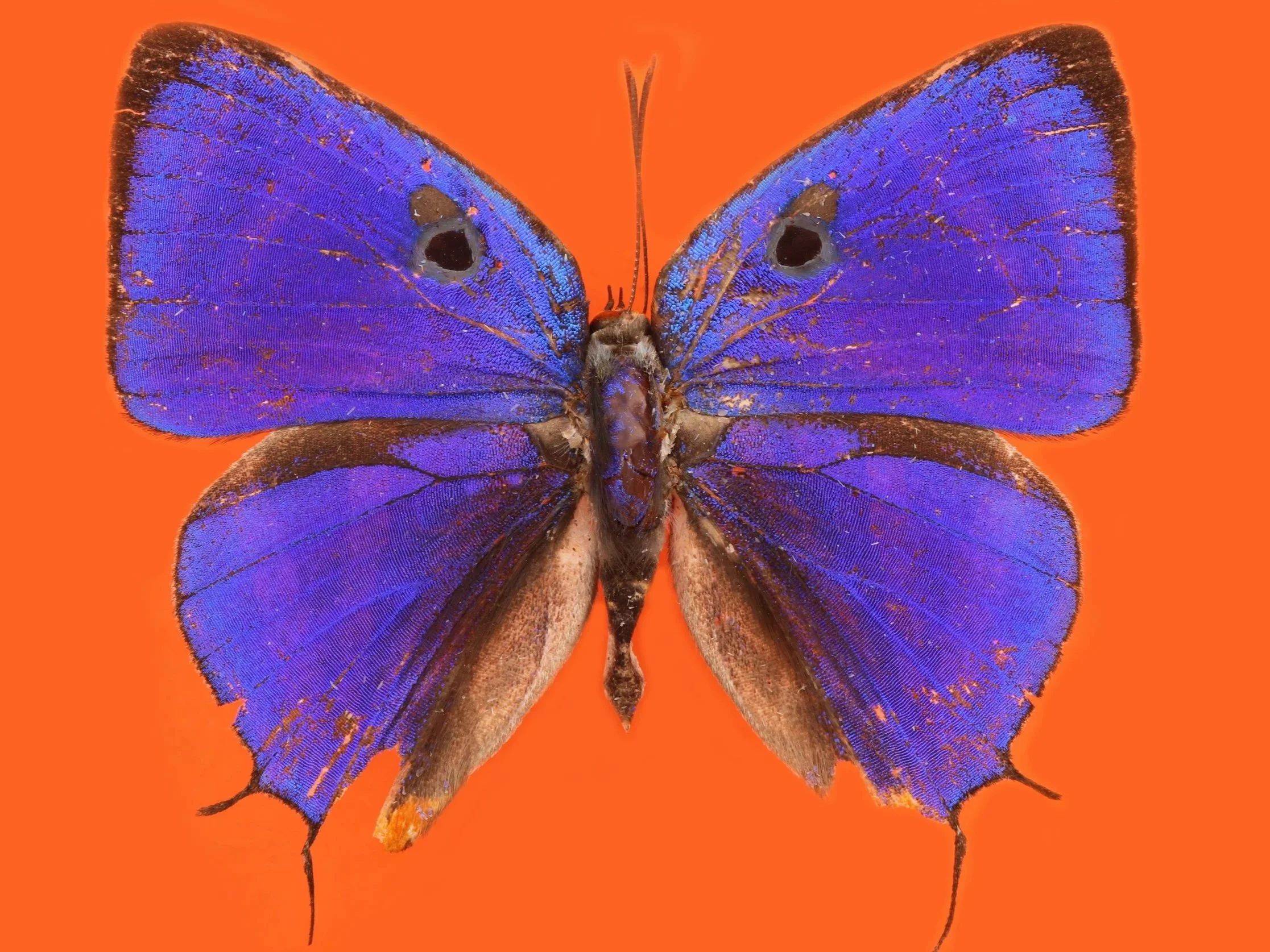 How and why is our feminism is trans-inclusive