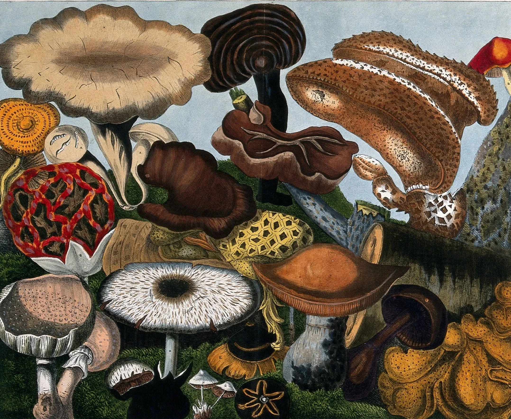 SOS: Save Our Soils