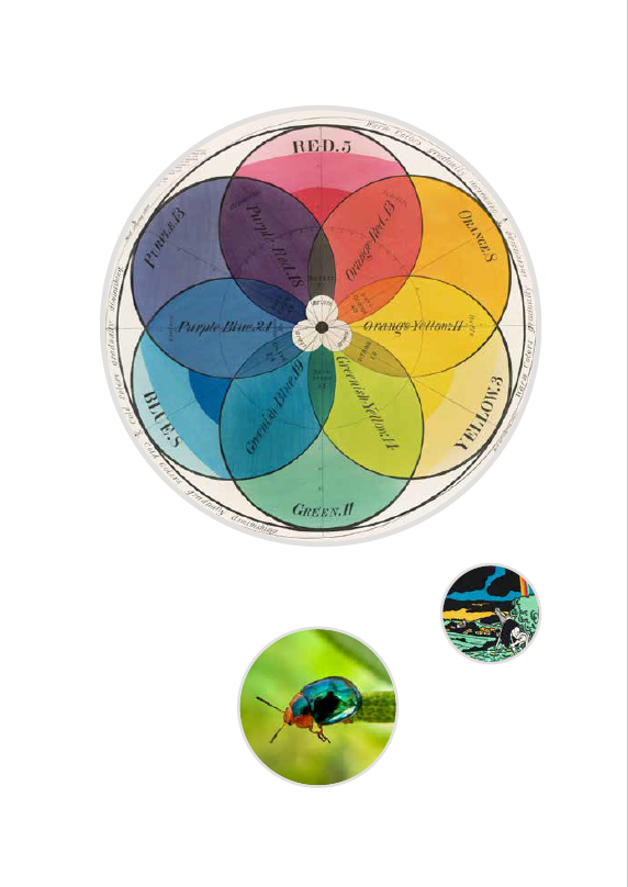 Rupture Subscription (starts with Issue 13, Queer Liberation, August 2024)